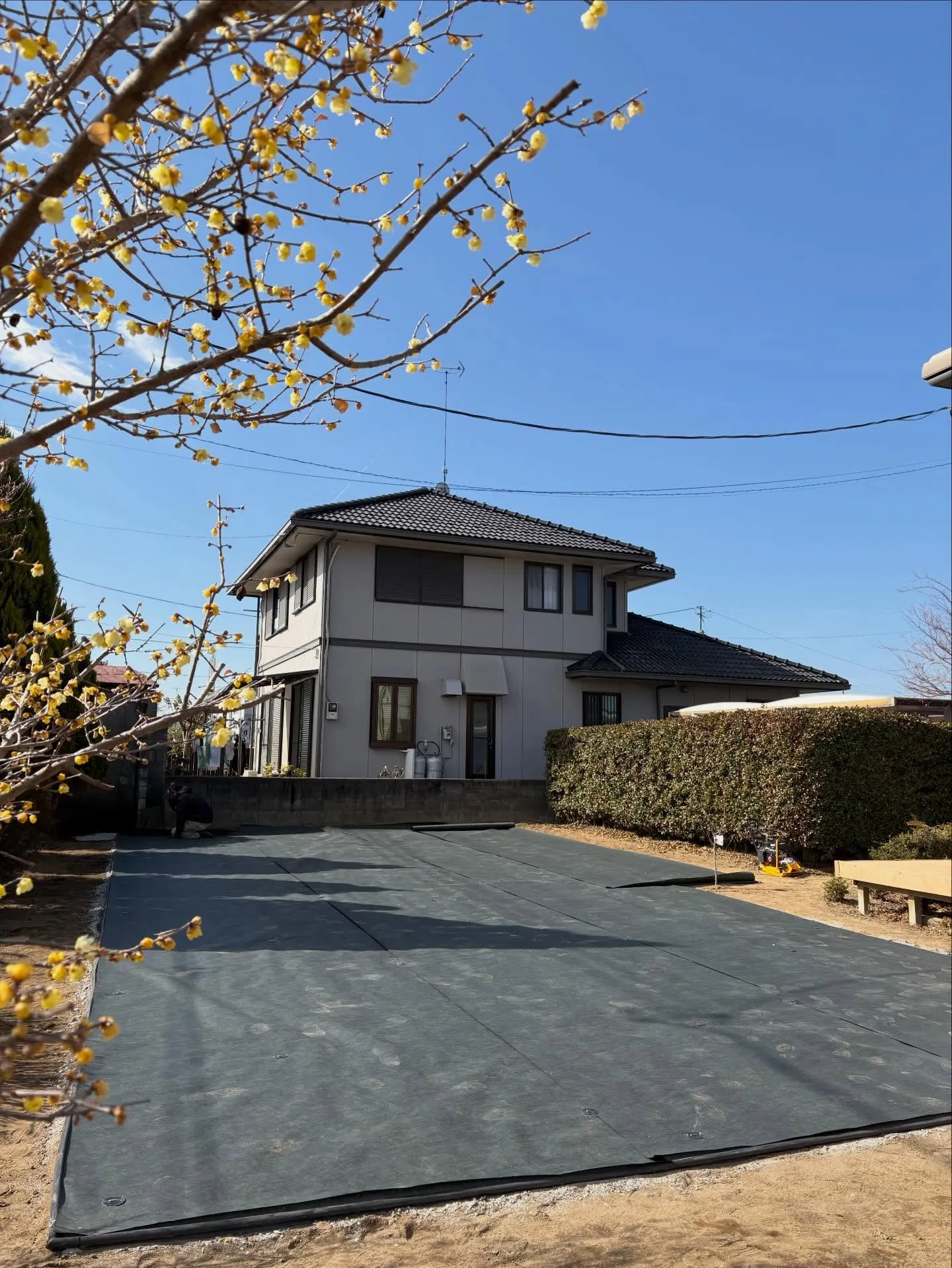 🌱【畑だった庭が…まさかのドッグランに⁉】🌱🏃♂️🐶