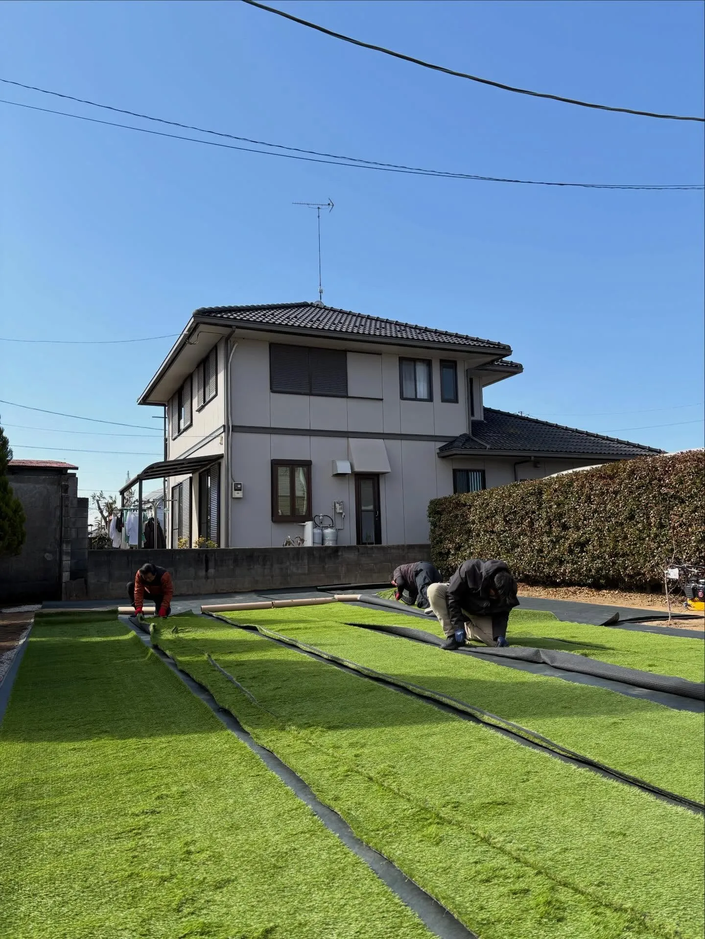 🌱【畑だった庭が…まさかのドッグランに⁉】🌱🏃♂️🐶