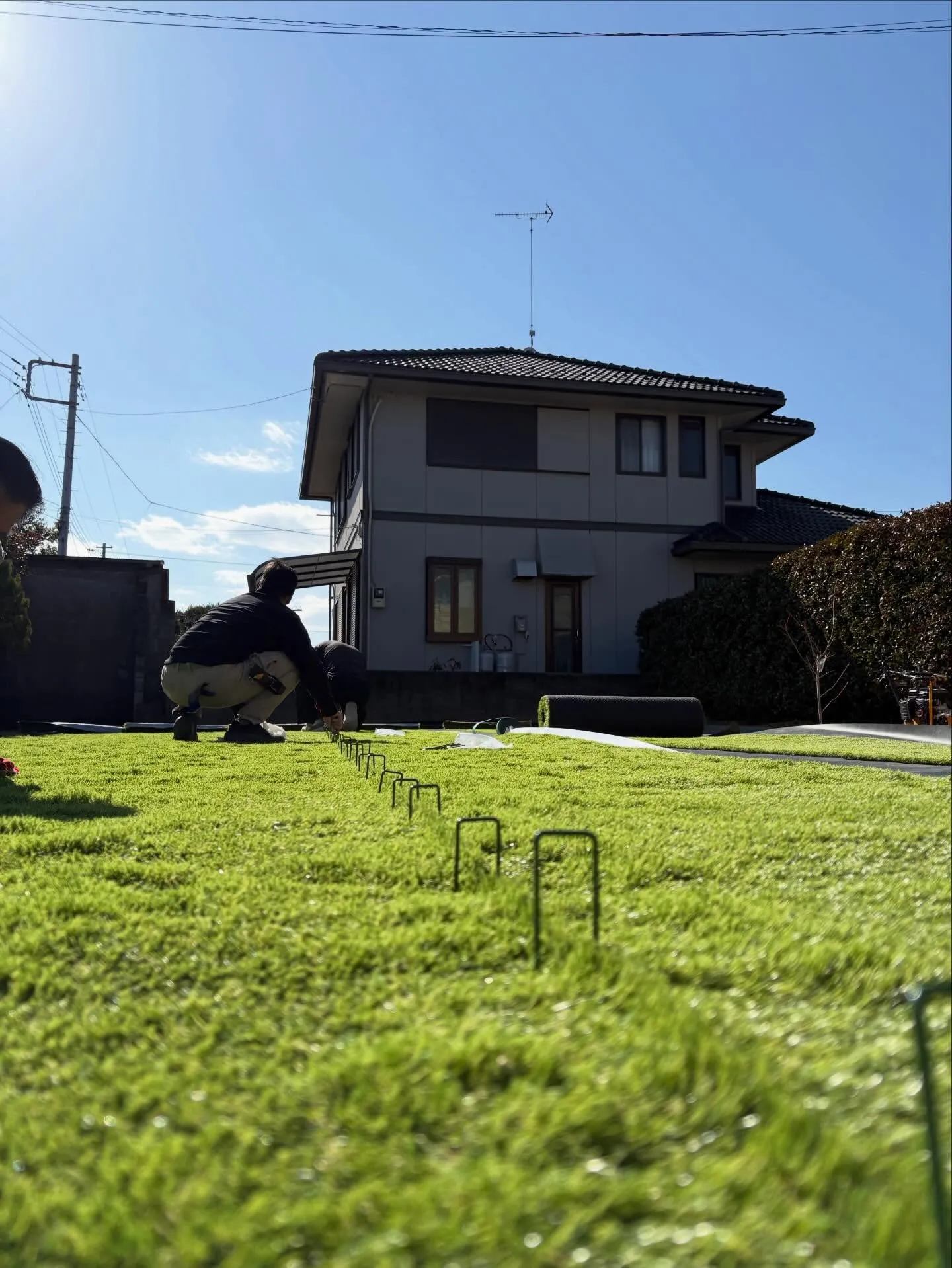 🌱【畑だった庭が…まさかのドッグランに⁉】🌱🏃♂️🐶