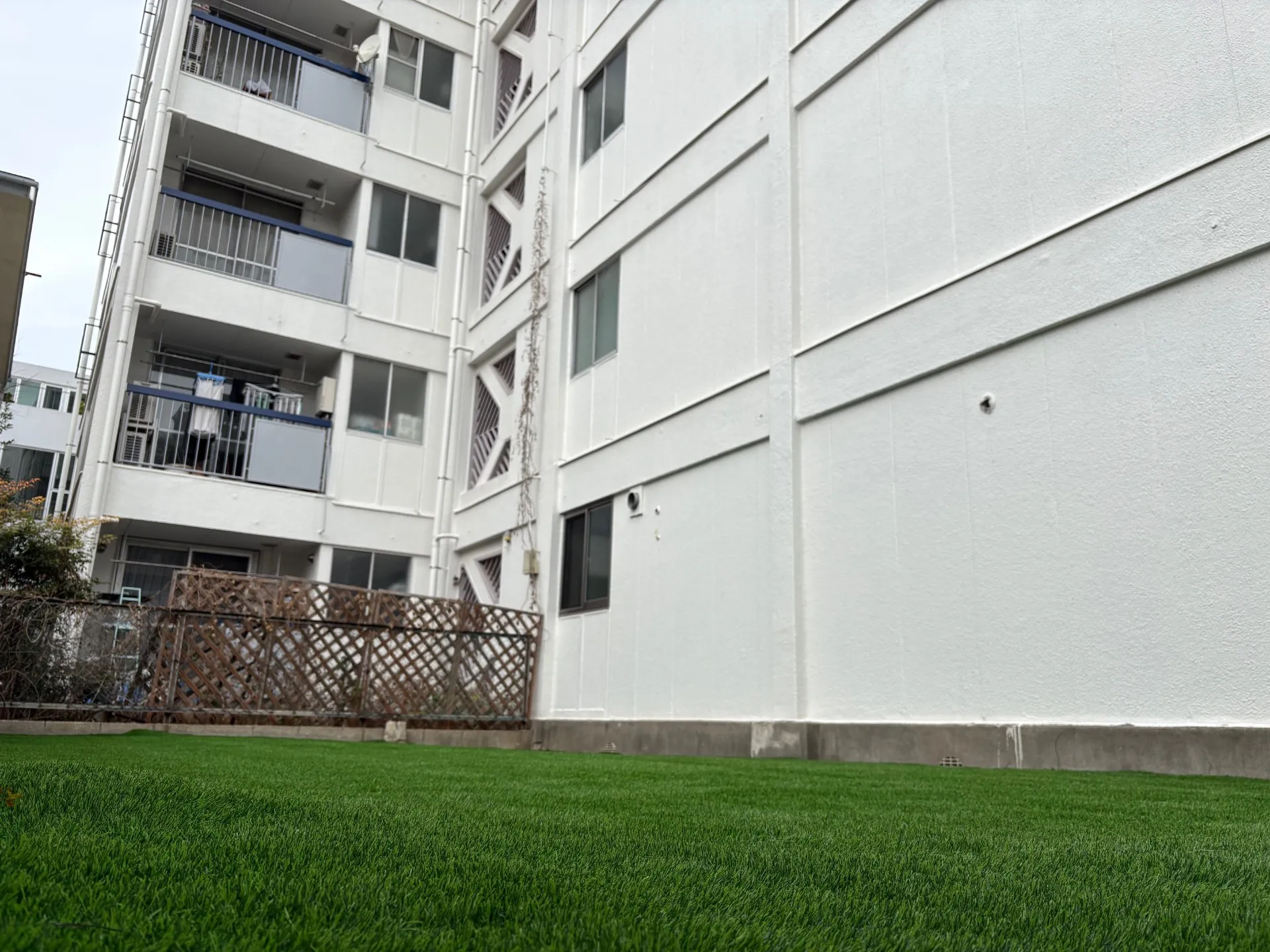 【東京都渋谷区】マンション専用庭を人工芝ドッグランへリフォーム｜都会に誕生した癒しのプライベート緑空間