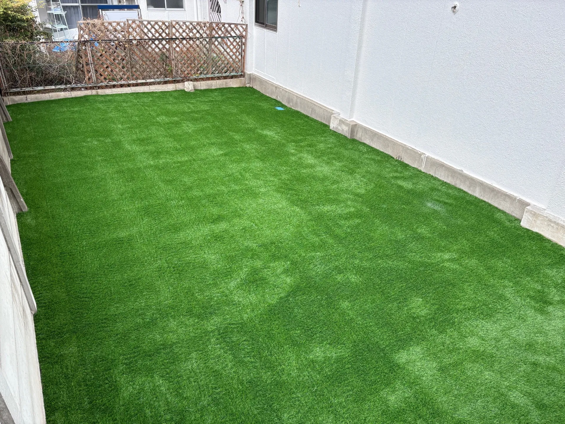 ワンちゃんが走り回れる人工芝ドッグラン完成