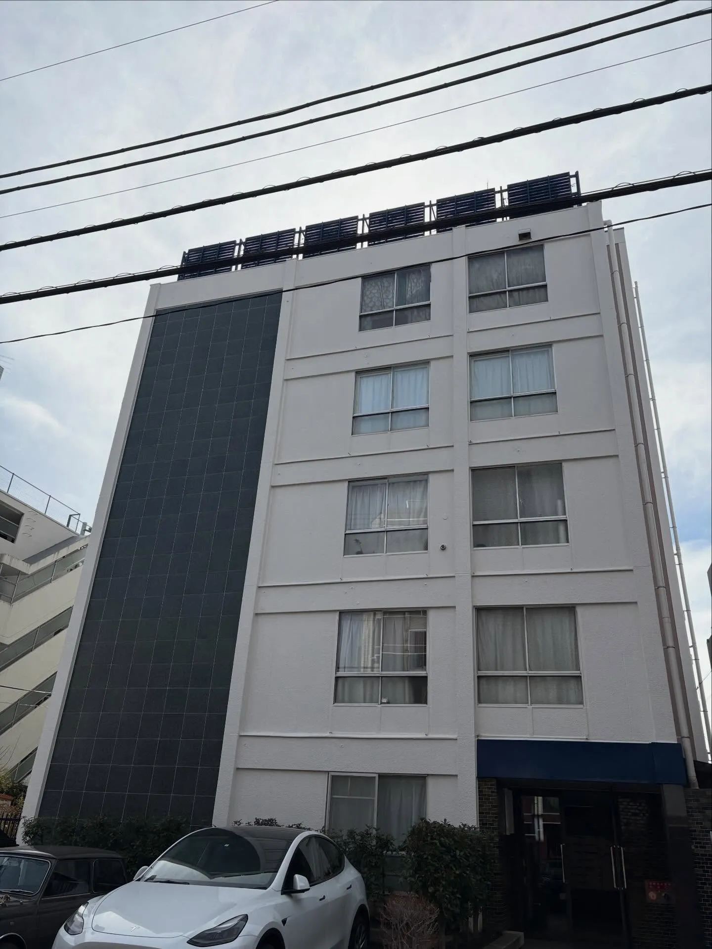 【東京都渋谷区|マンション専用庭をドッグランへリフォーム】🐕...