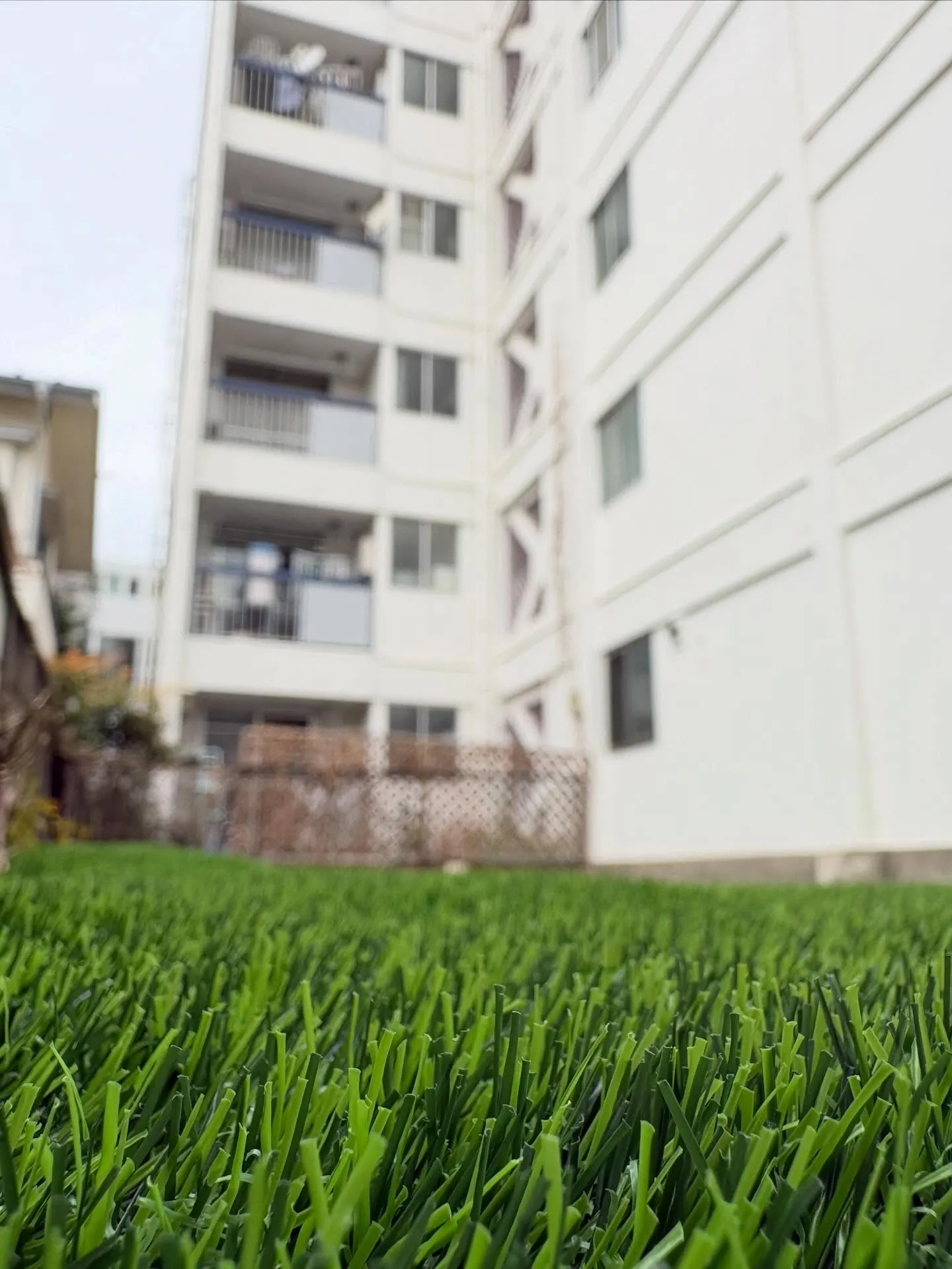 【東京都渋谷区|マンション専用庭をドッグランへリフォーム】🐕...