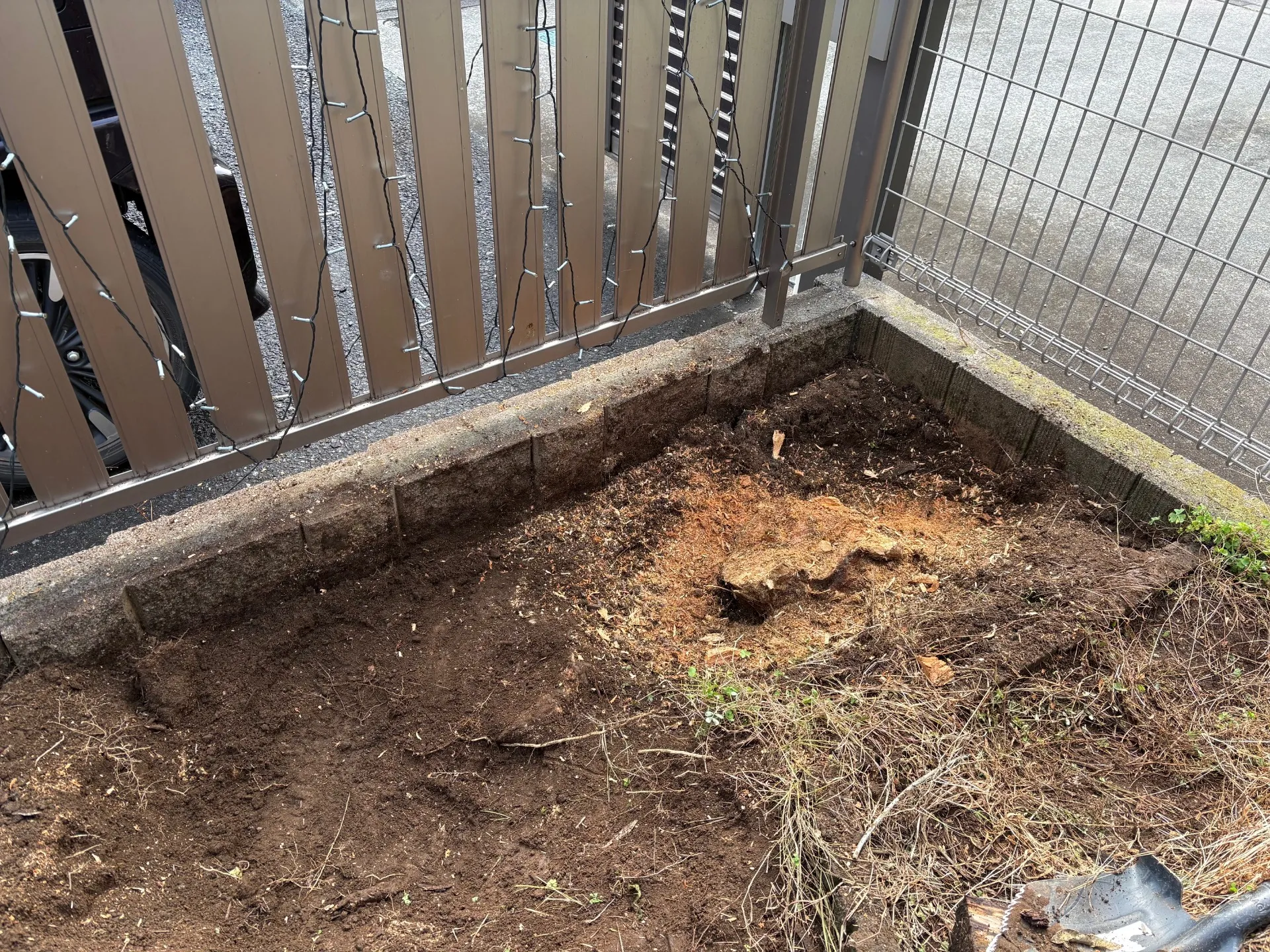 植木を根元から伐採