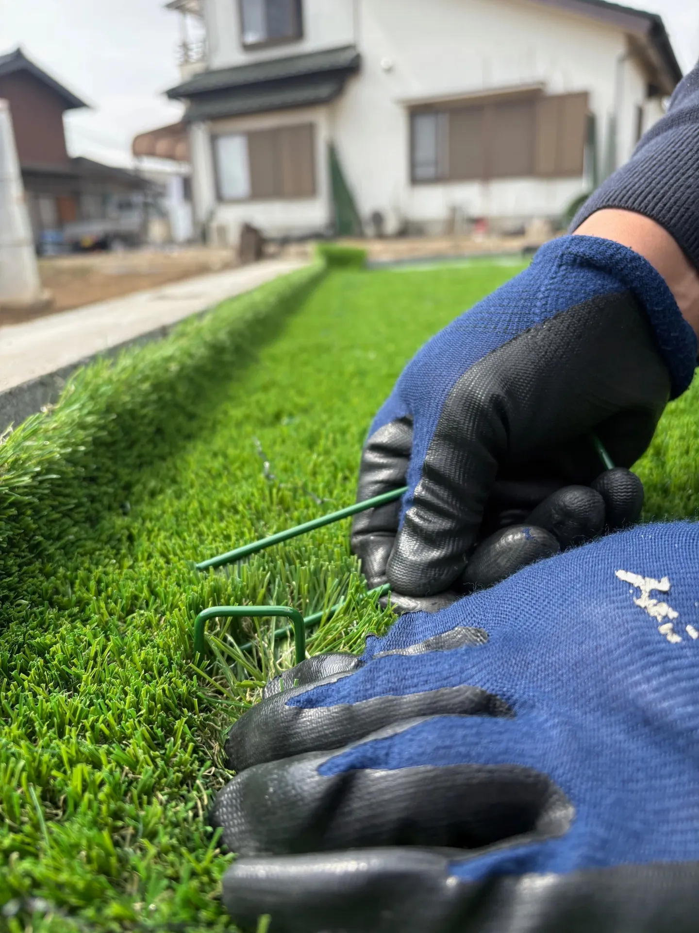 芝葉を巻き込まないようにピンで固定