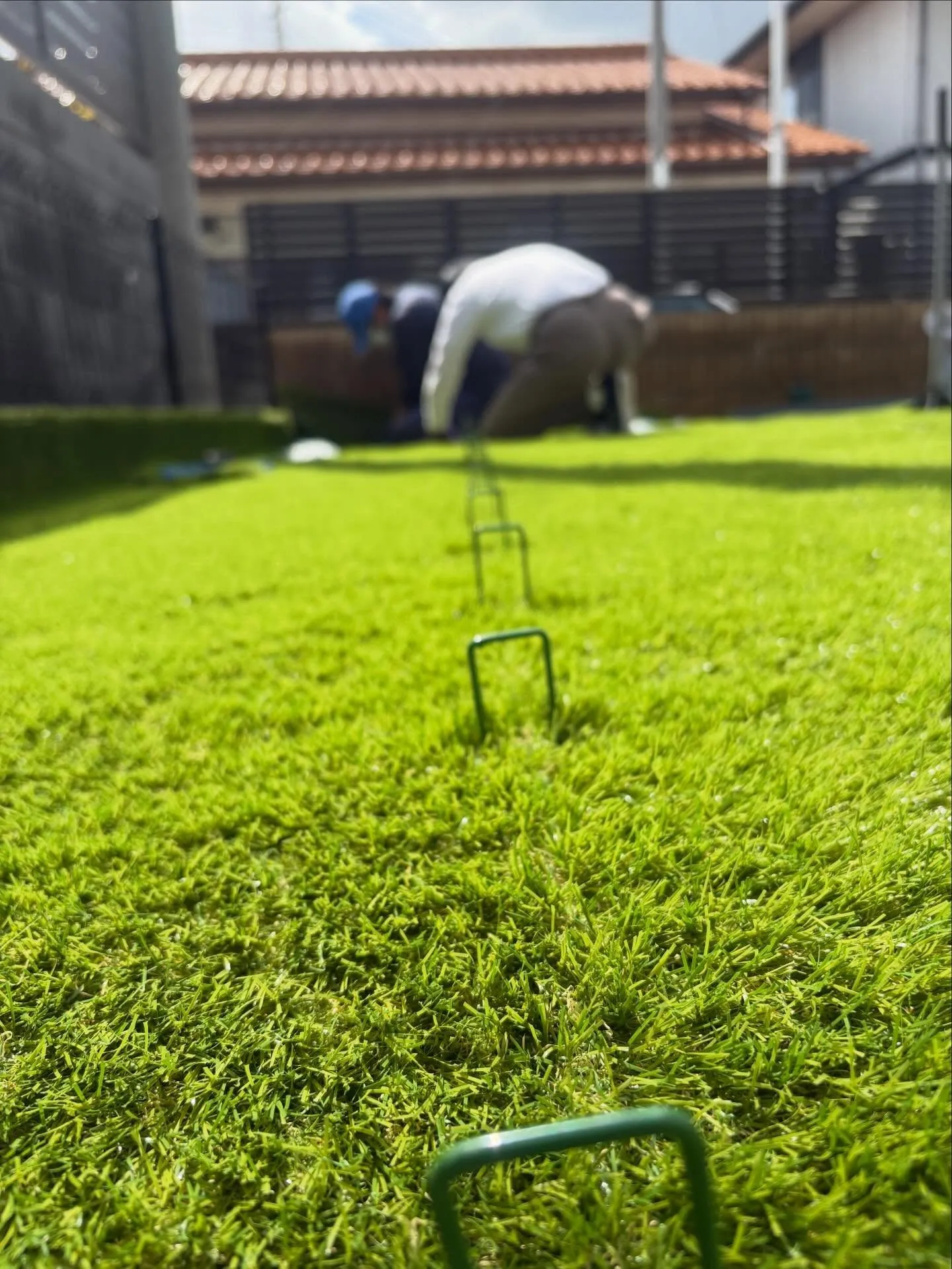 🏡【埼玉県行田市｜人工芝施工事例】🌱