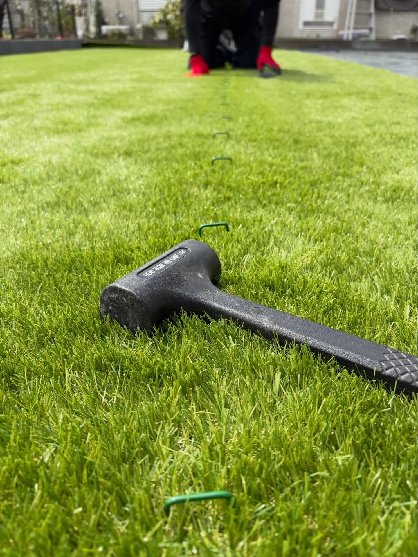 🏡【埼玉 飯能市|新築のお庭がふかふか空間に大変身】🌱✨