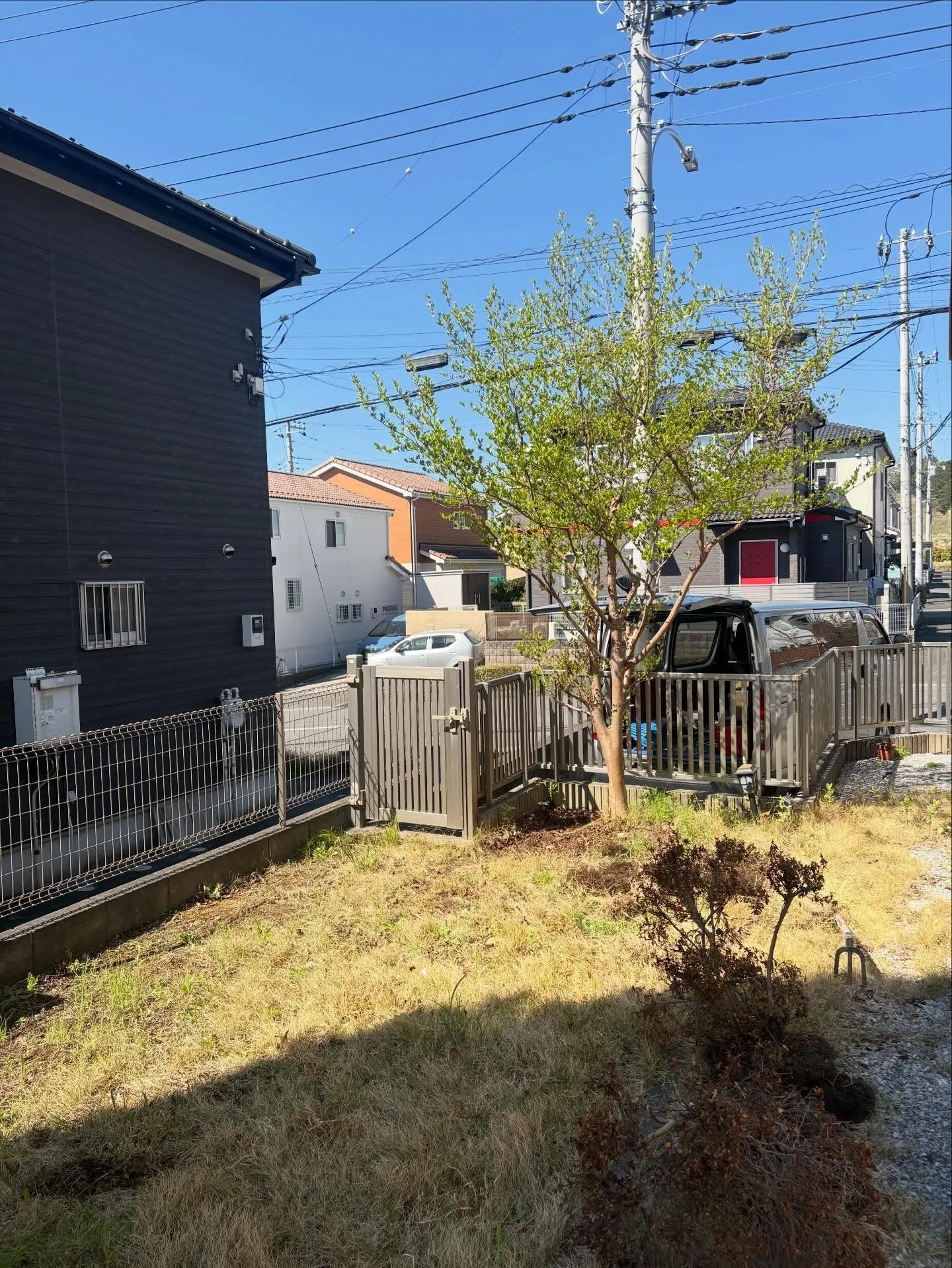 🌱&🪨【芝生＆砂利の庭…やめませんか？】👷🏼✨