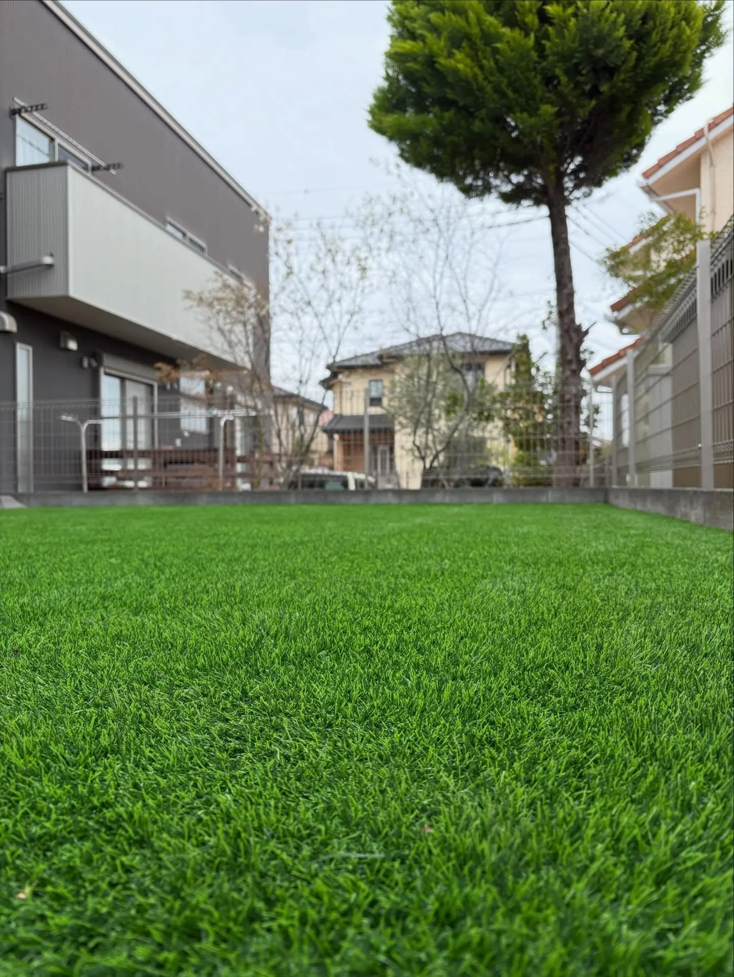 🌱&🪨【芝生＆砂利の庭…やめませんか？】👷🏼✨