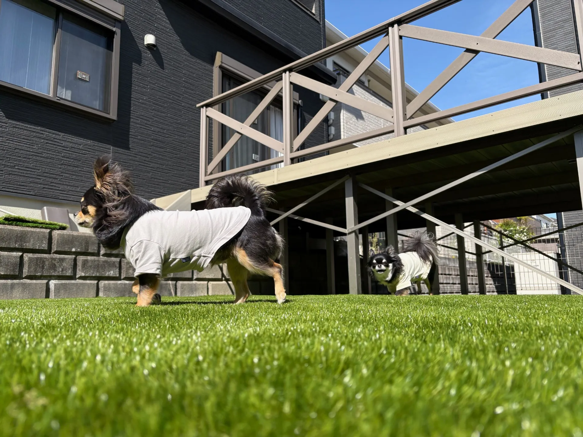 【埼玉県 飯能市】ワンちゃんが遊べる庭へ｜縁石撤去→全面人工芝ドッグラン施工事例｜雑草ゼロ×お手入れ不要