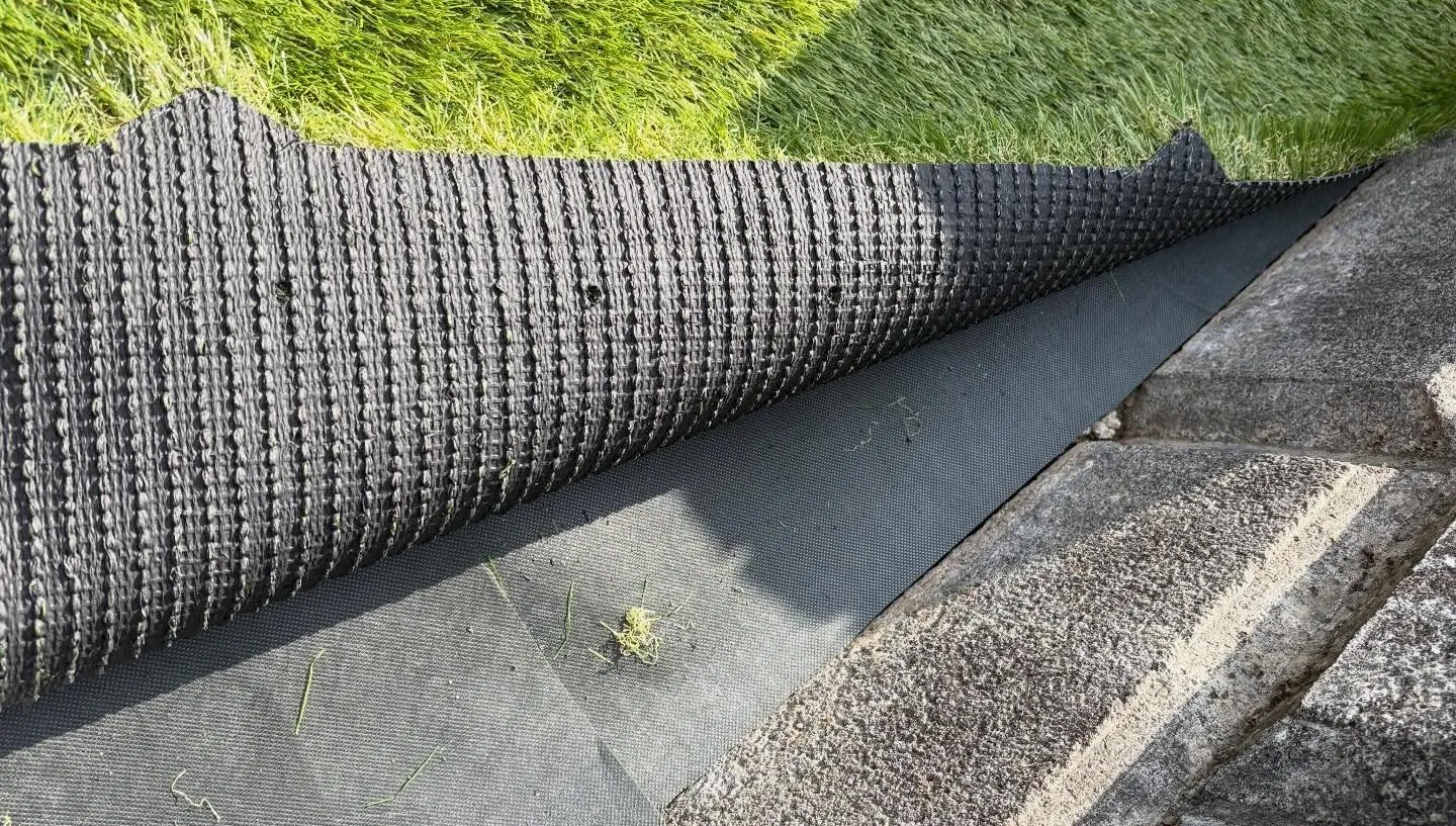 🏠【庭がドッグランに大変身】🐕🌱✨