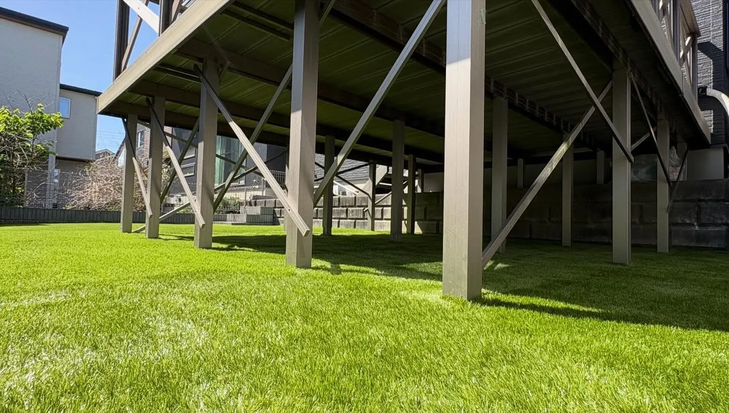 🏠【庭がドッグランに大変身】🐕🌱✨