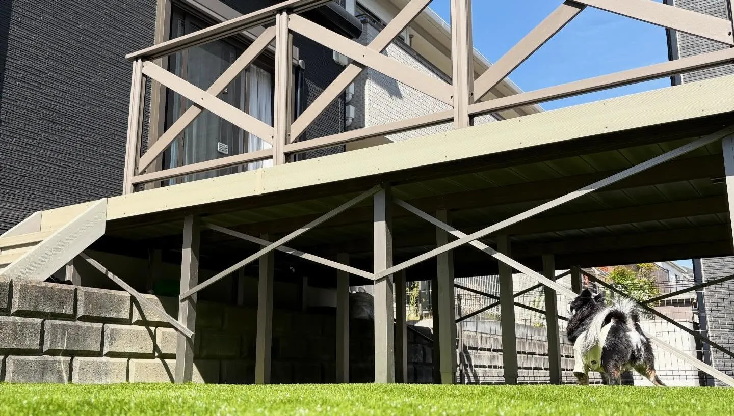 🏠【庭がドッグランに大変身】🐕🌱✨