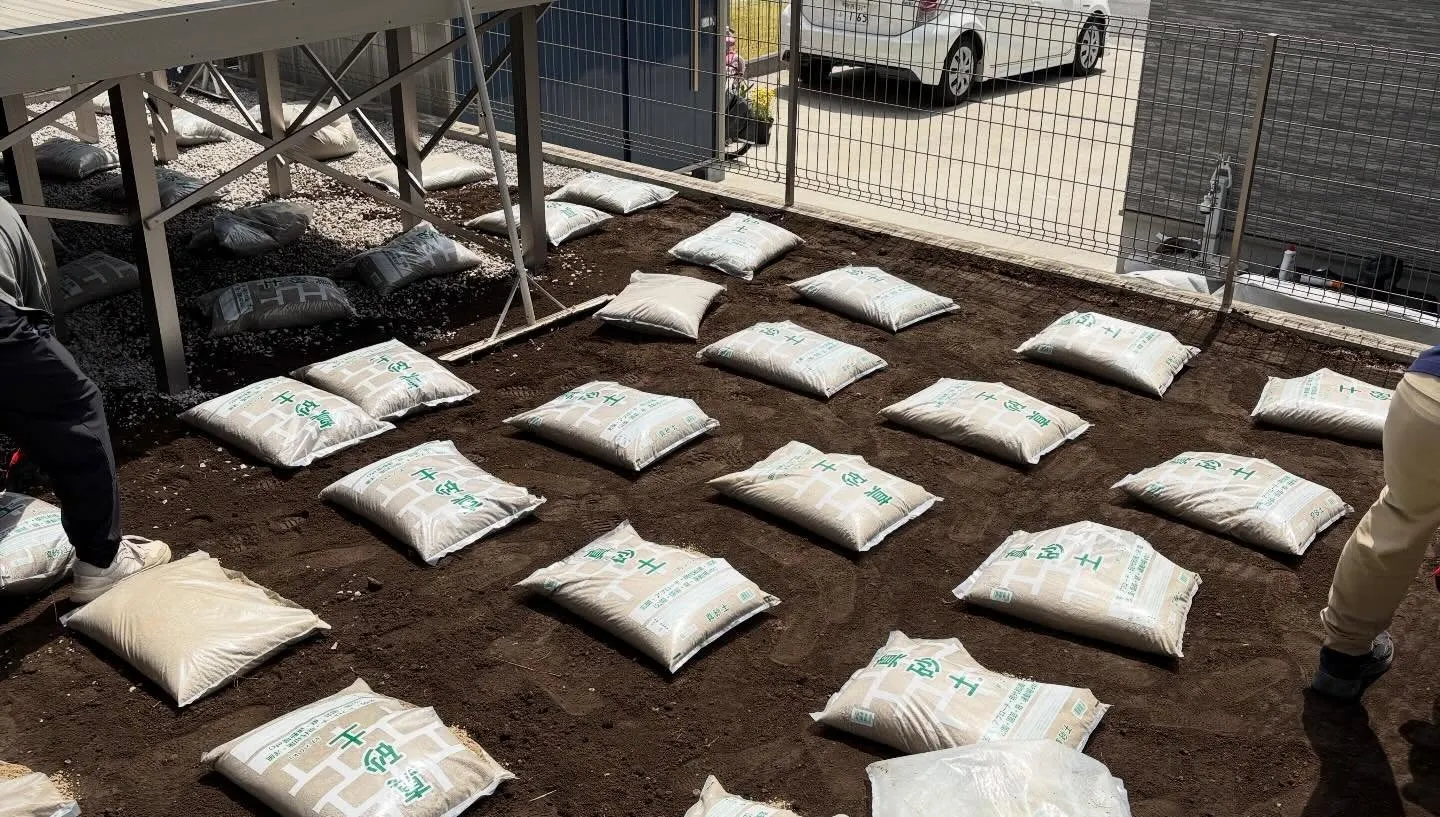 🏠【庭がドッグランに大変身】🐕🌱✨