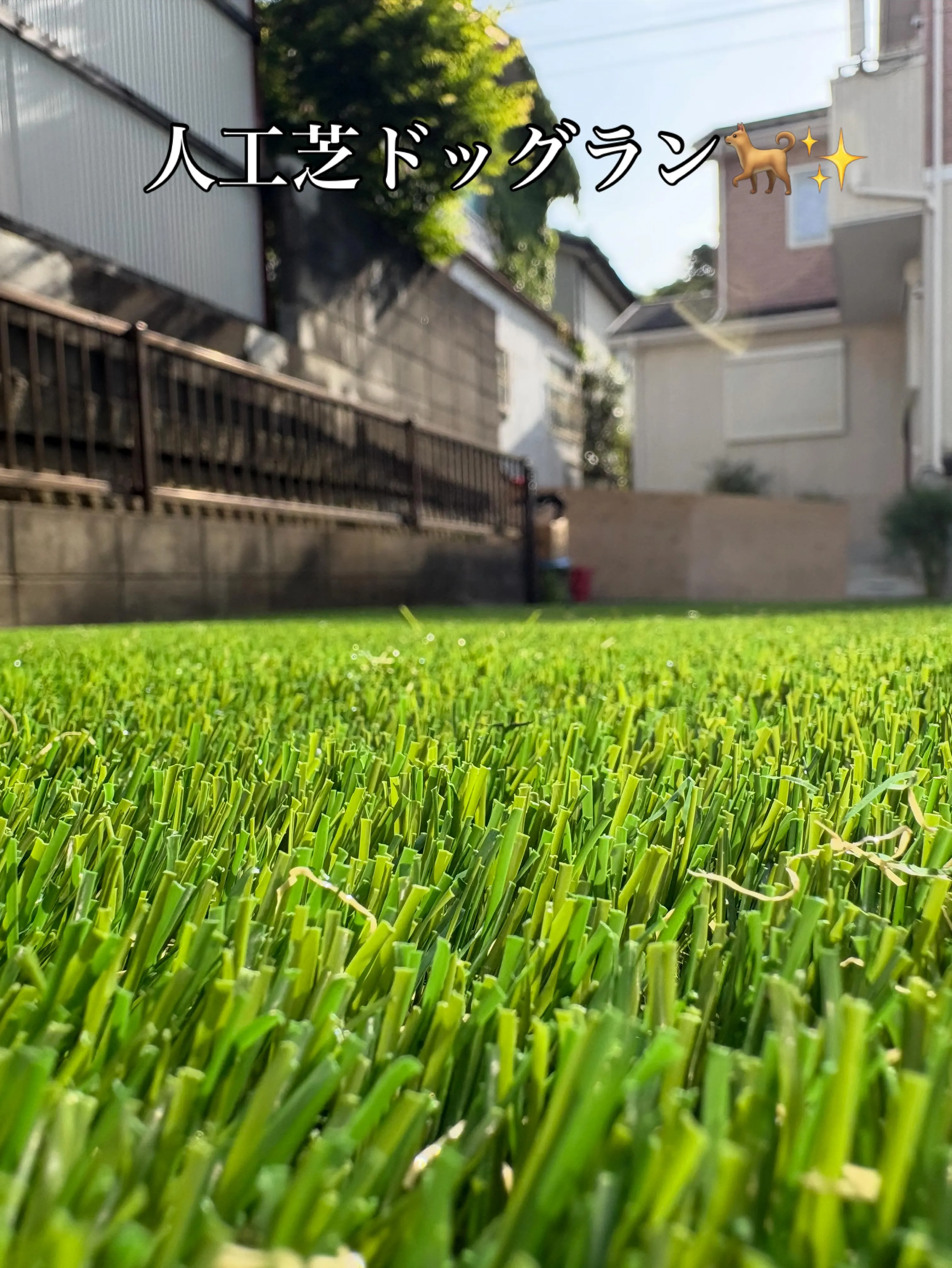 🌱【所沢市｜人工芝ドッグラン施工】✨🐶