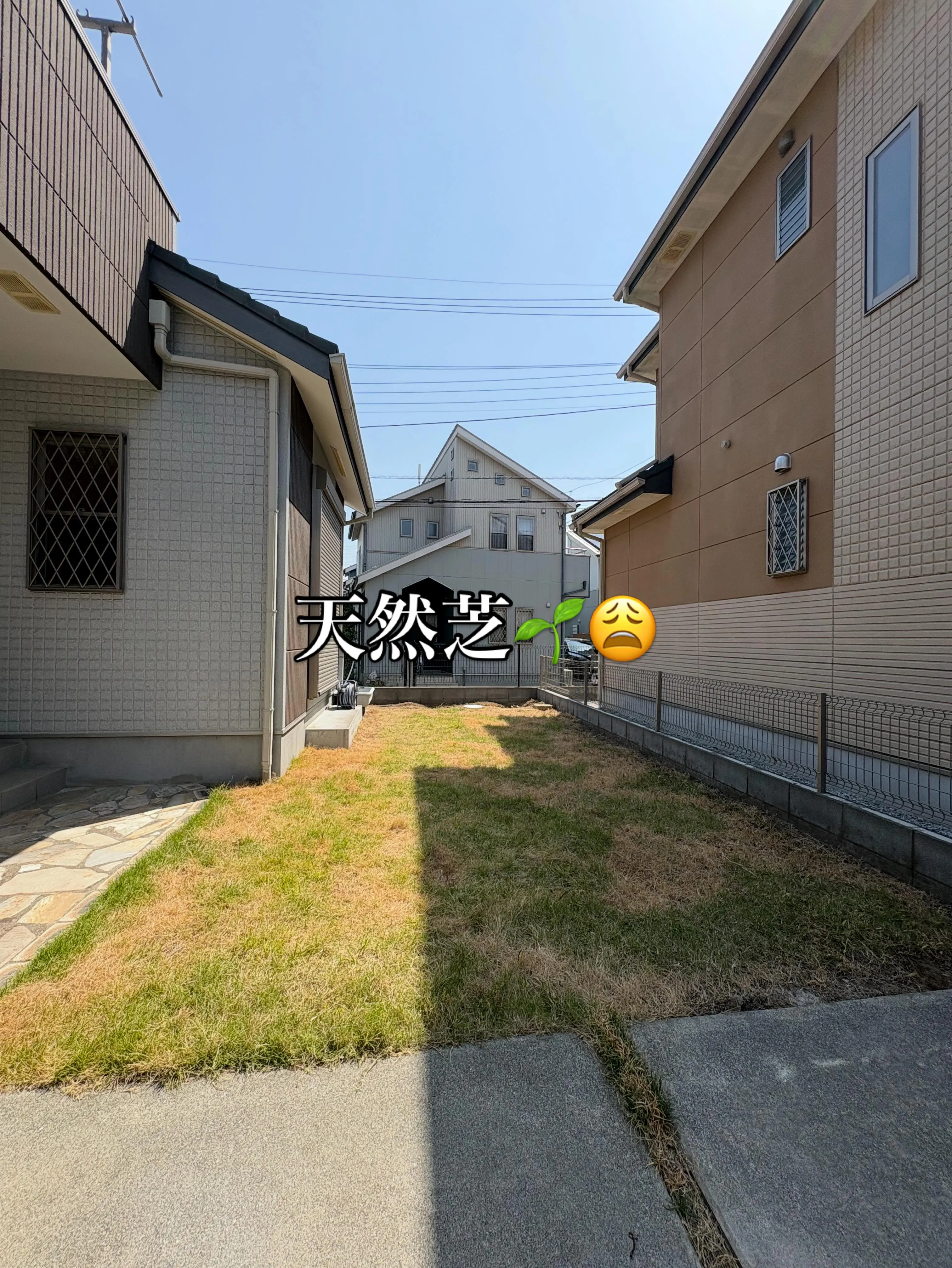 【埼玉県鴻巣市｜お庭全面リフォーム施工】👷🏼✨