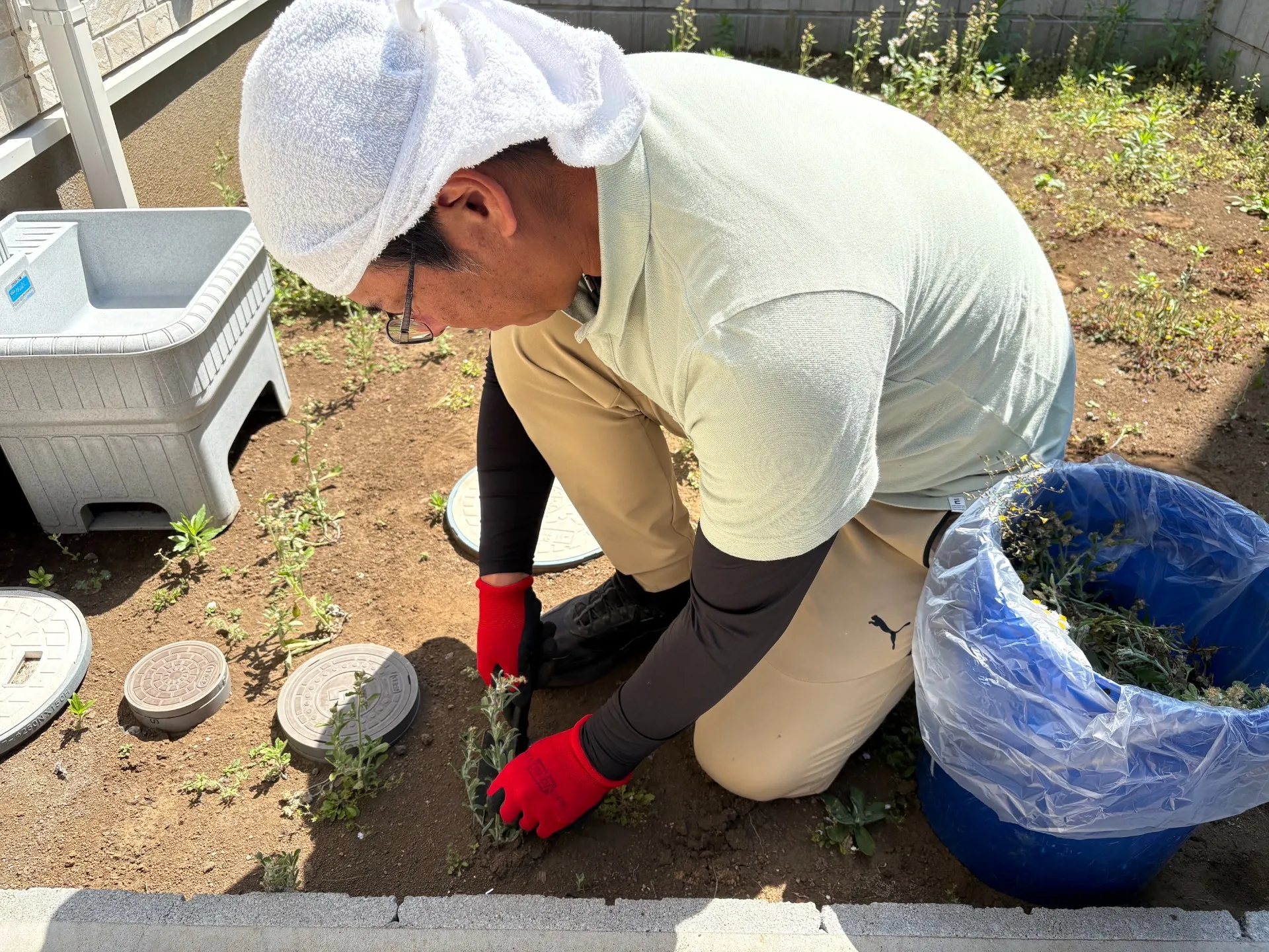 手作業で雑草の根まで丁寧に抜きます。