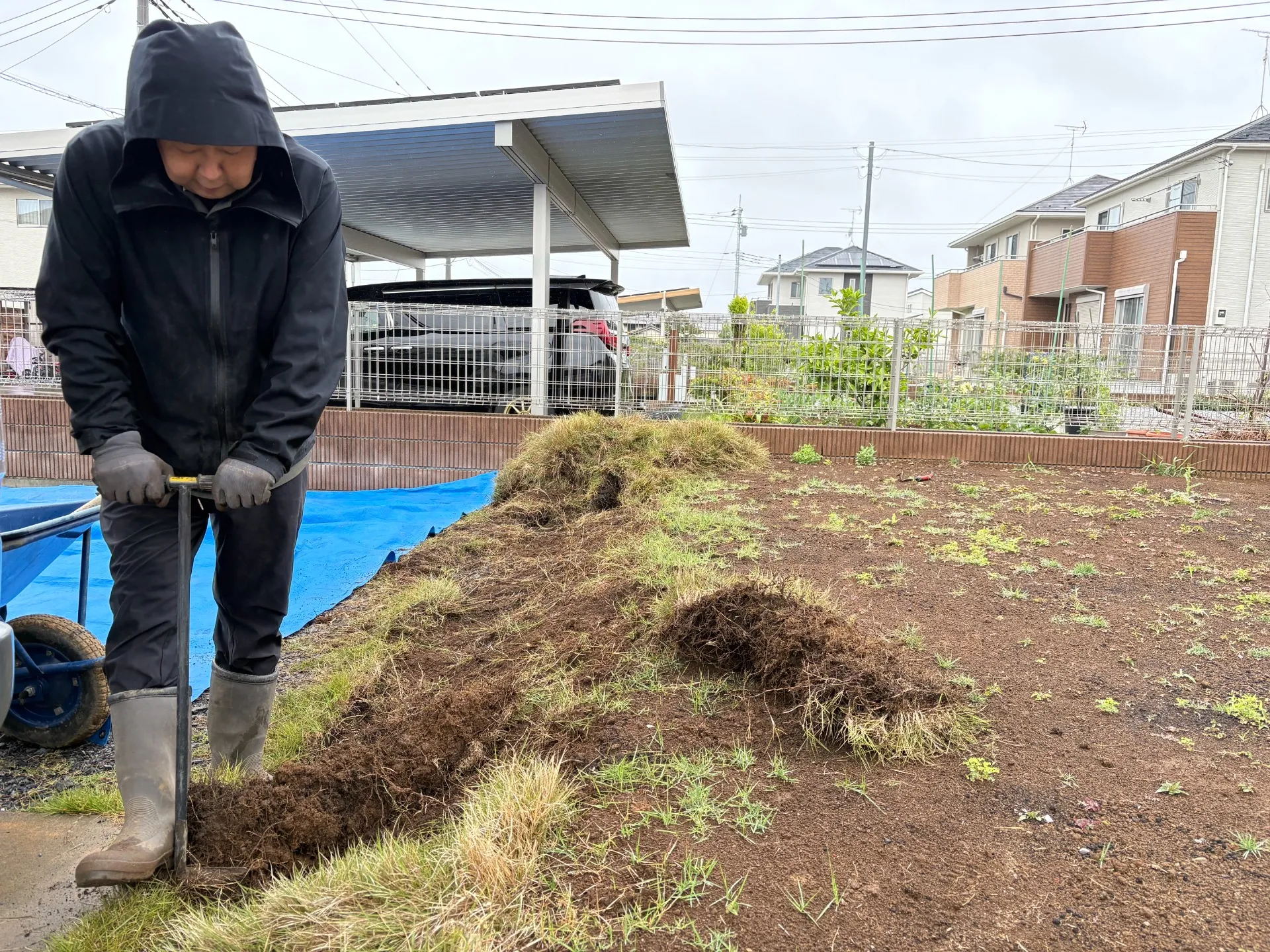 芝生を剥がしていきます。