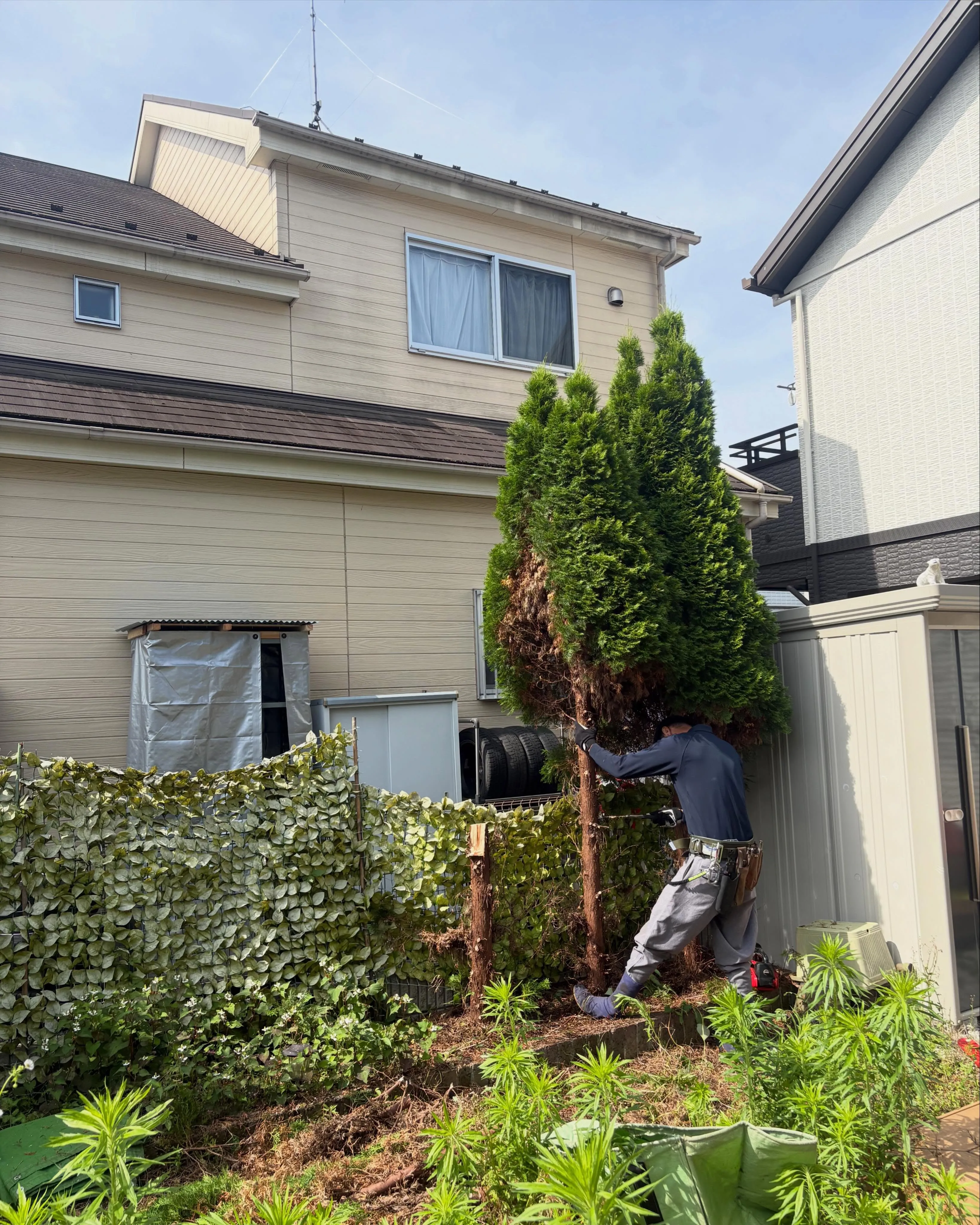✨【東京都日の出町｜お庭が劇的リフォーム🏠🌳】✨