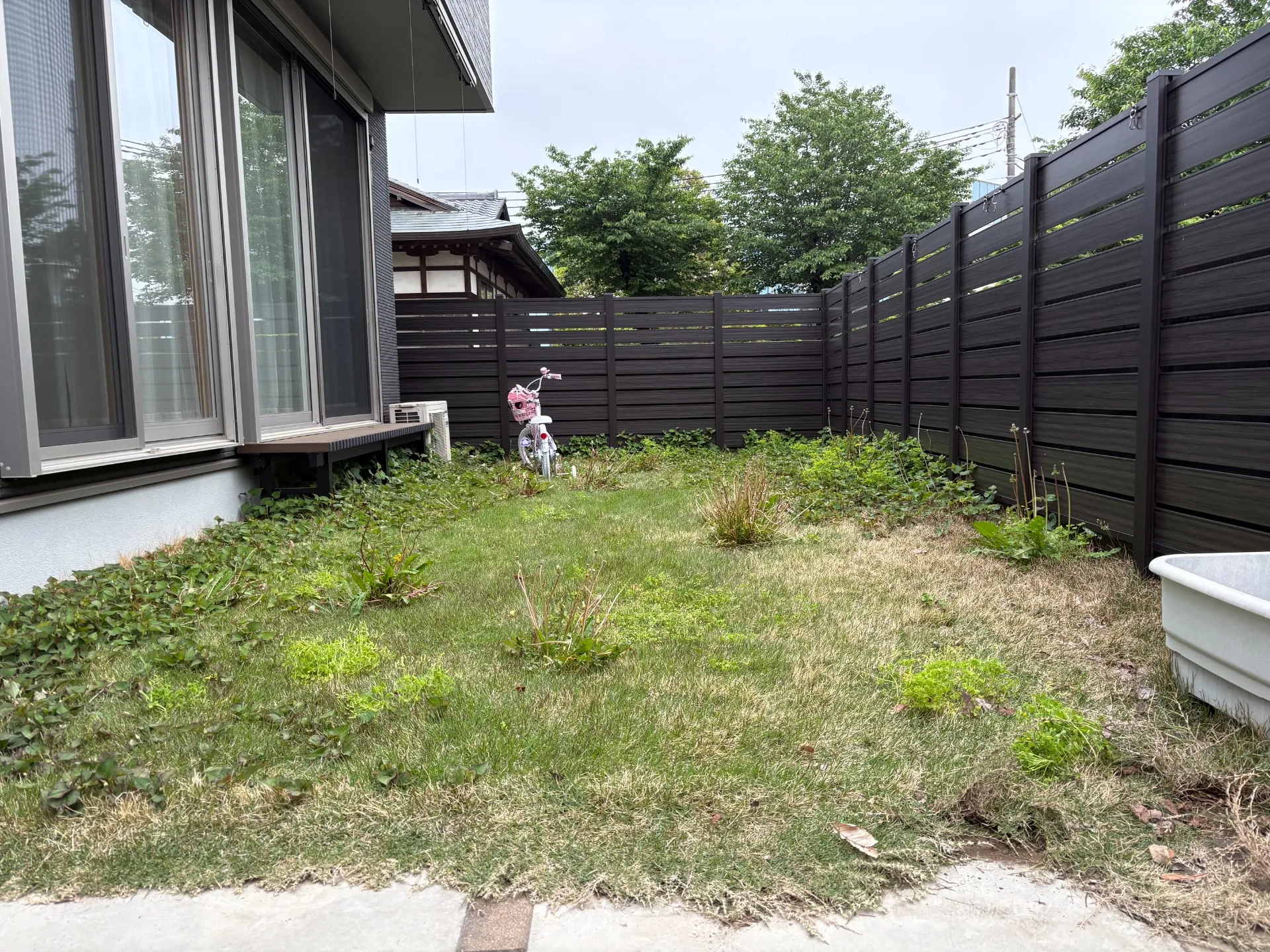 元のお庭の状態　天然芝＋雑草