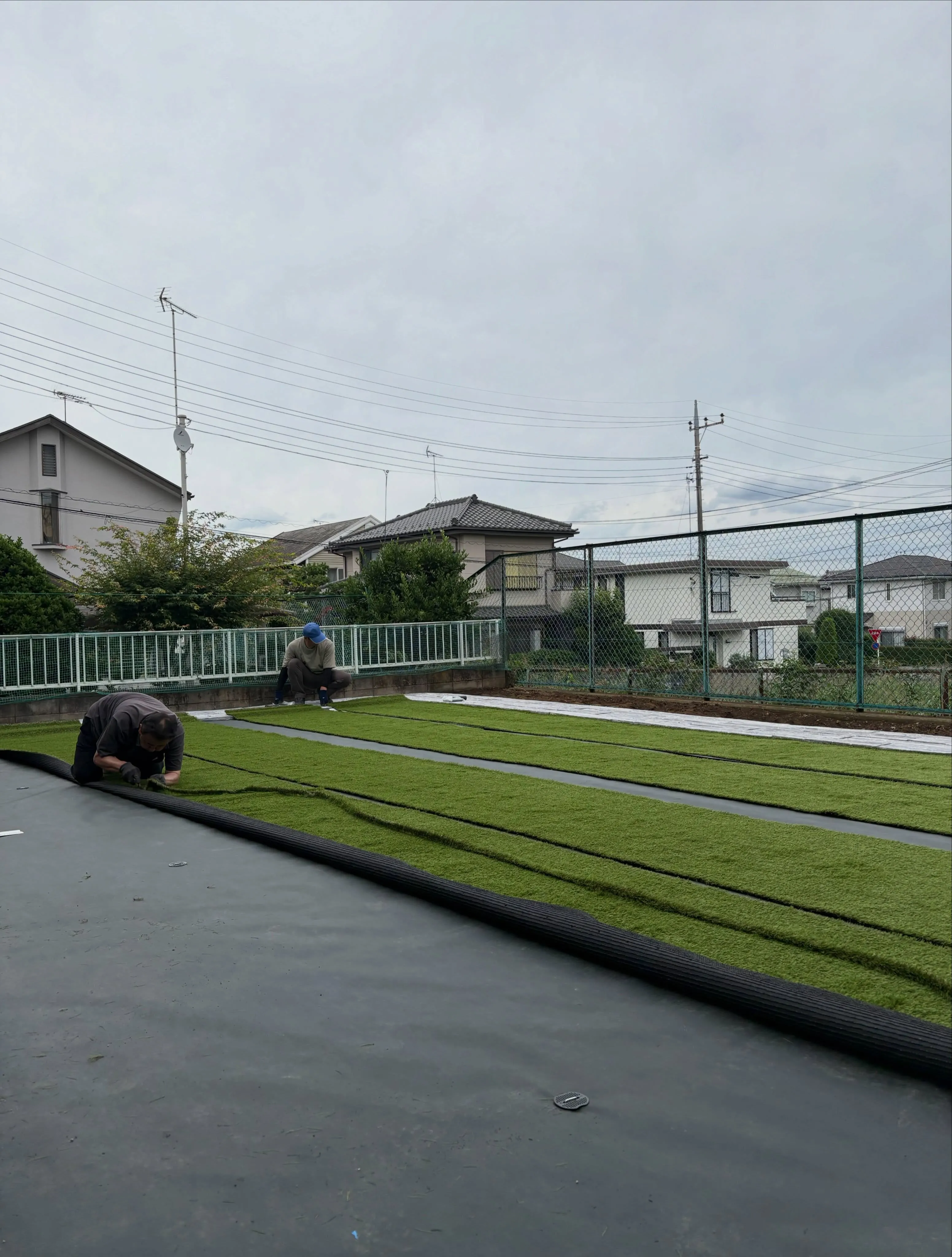 🌳「えっ、これ同じ庭!?」😳🔥🔥🔥