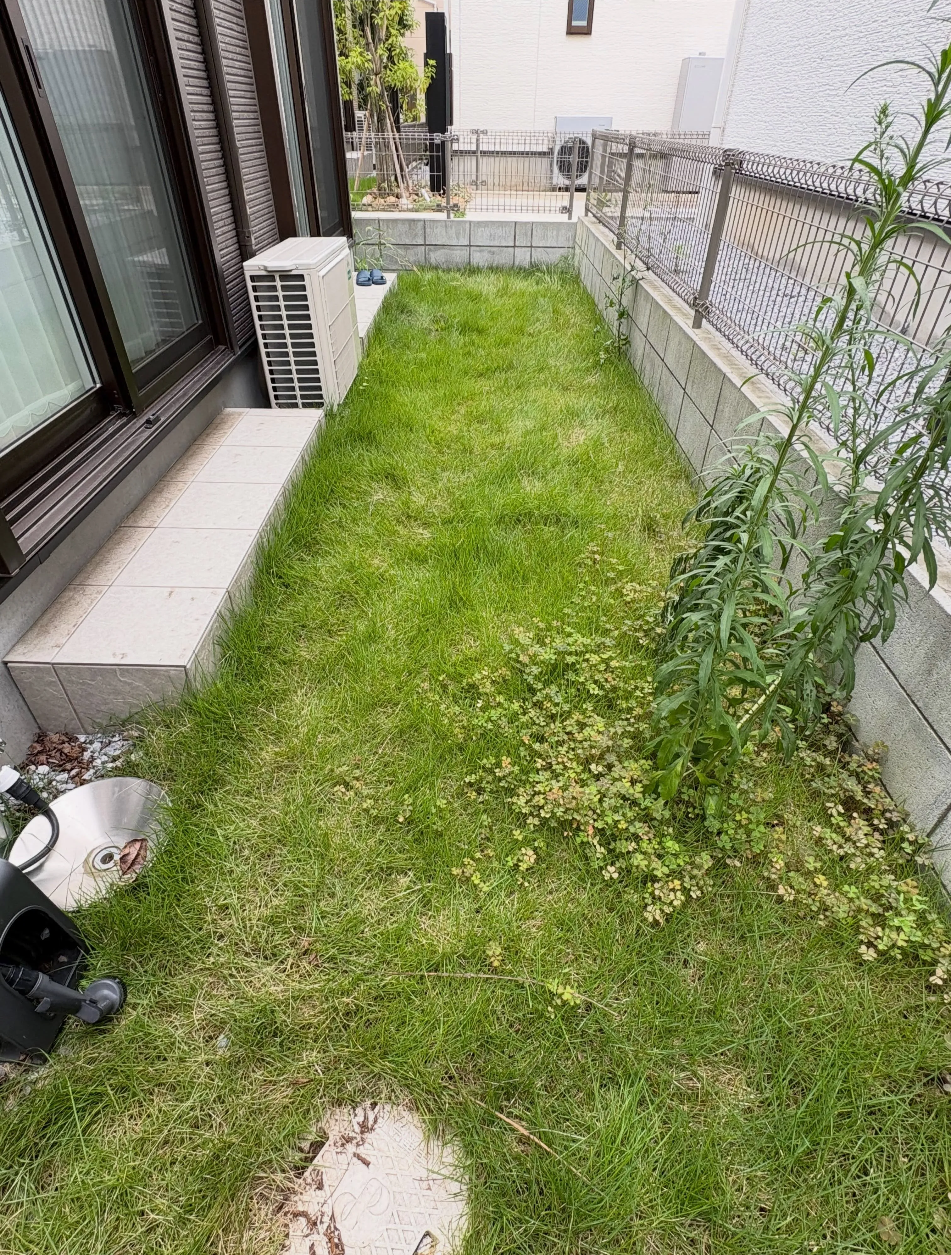 お庭にクワガタ発見‼️😳🍉🌻