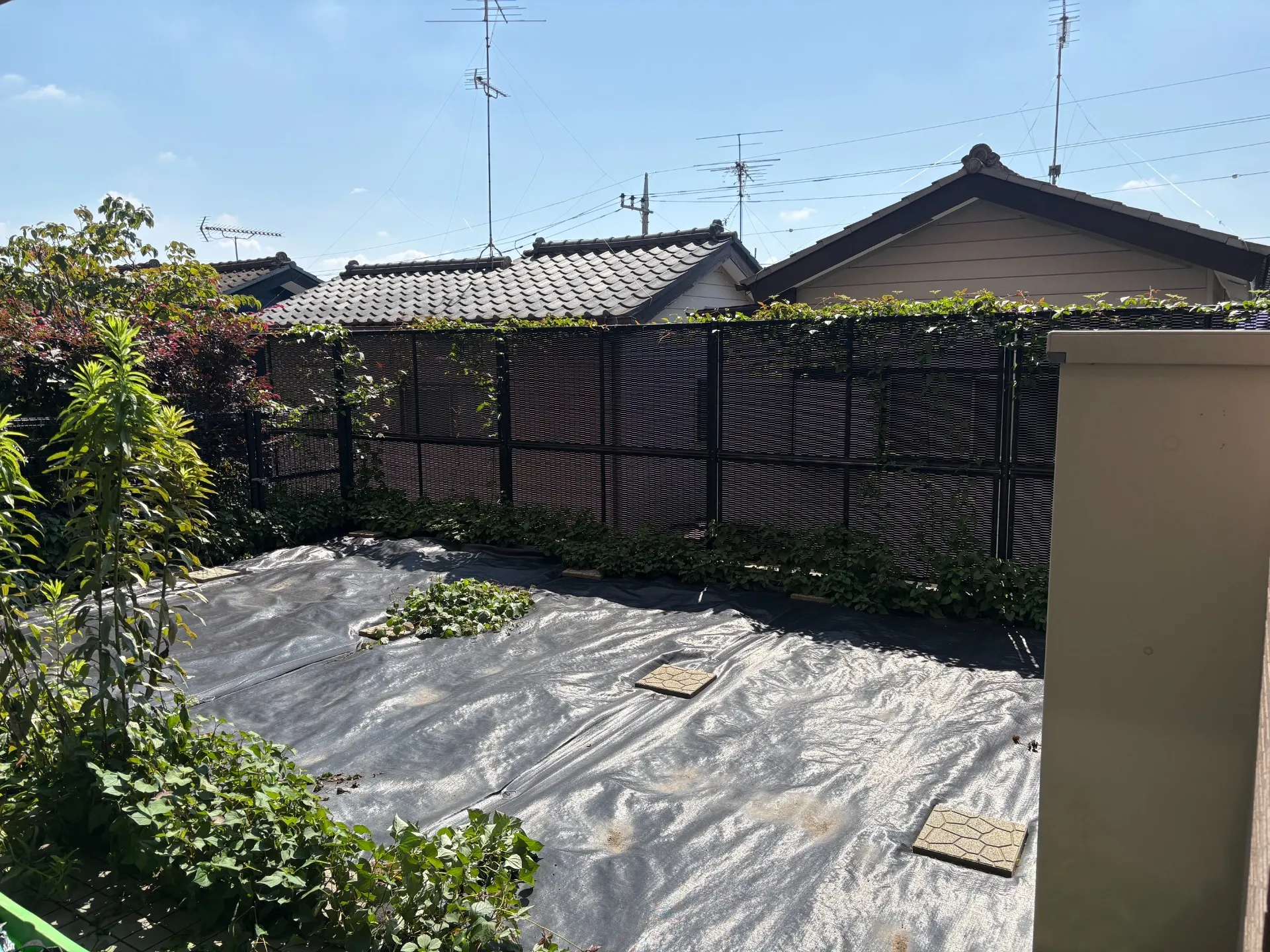 元のお庭の状態