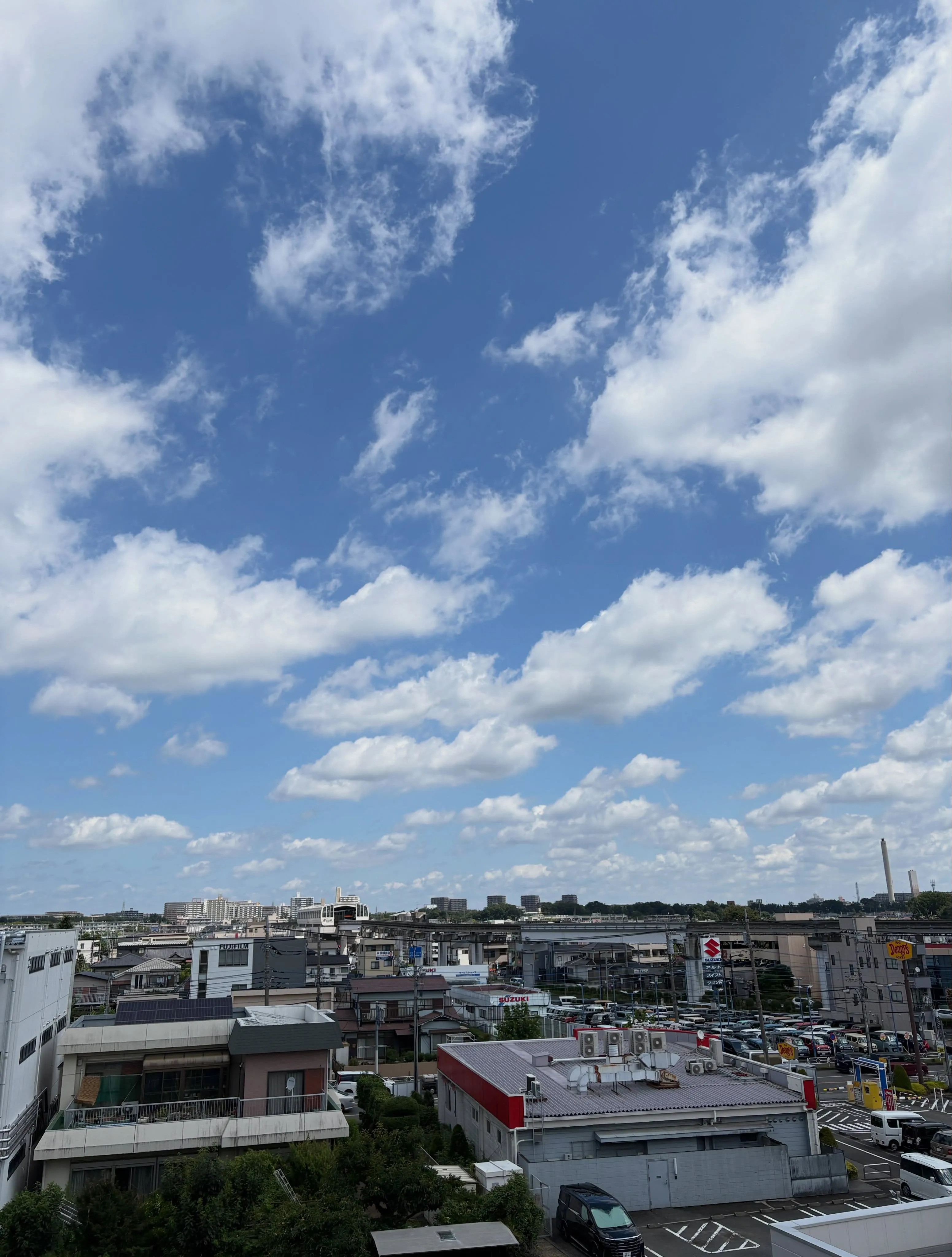 【マンションのバルコニーが、癒しのグリーン空間に大変身😍🌱】...
