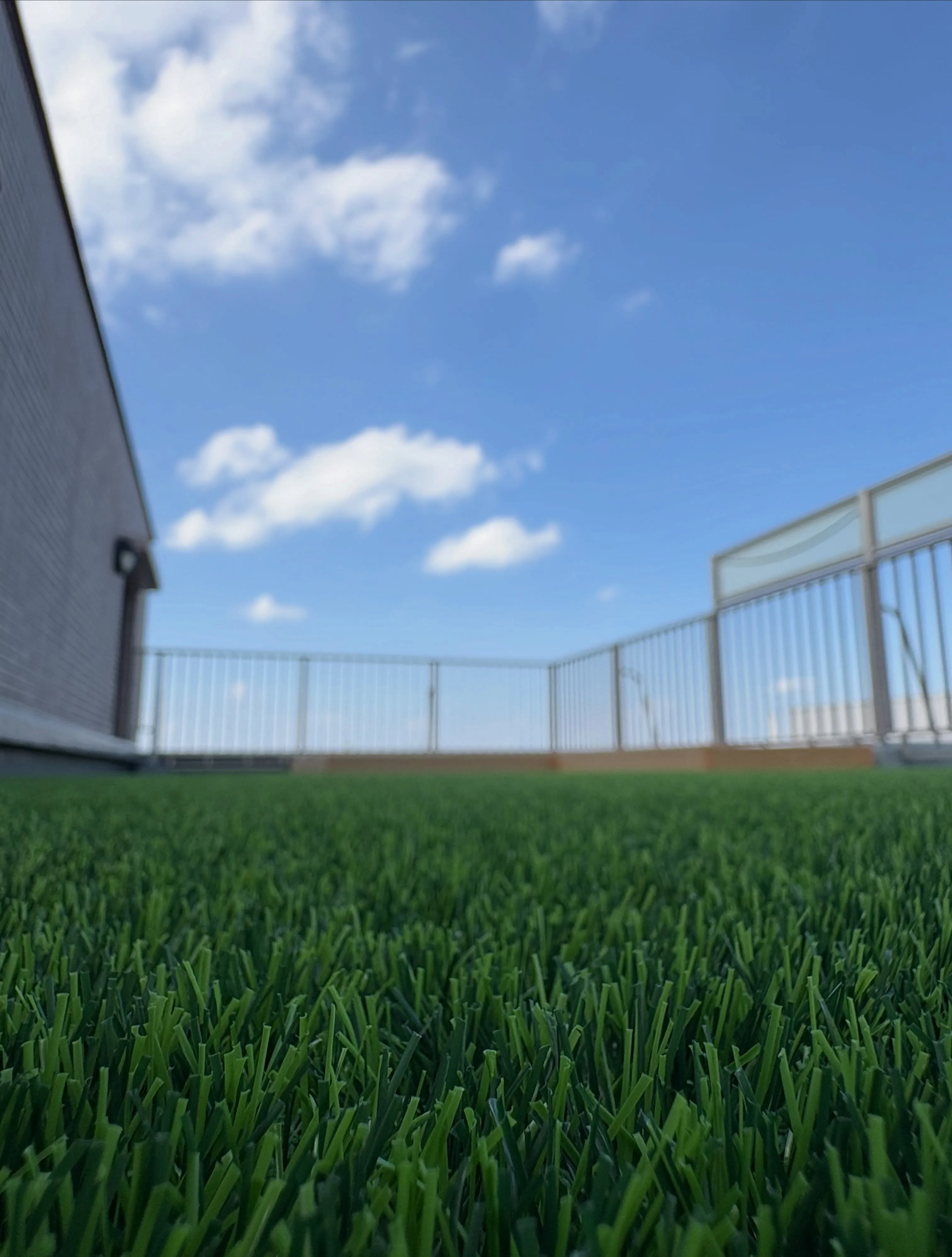 【マンションのバルコニーが、癒しのグリーン空間に大変身😍🌱】...