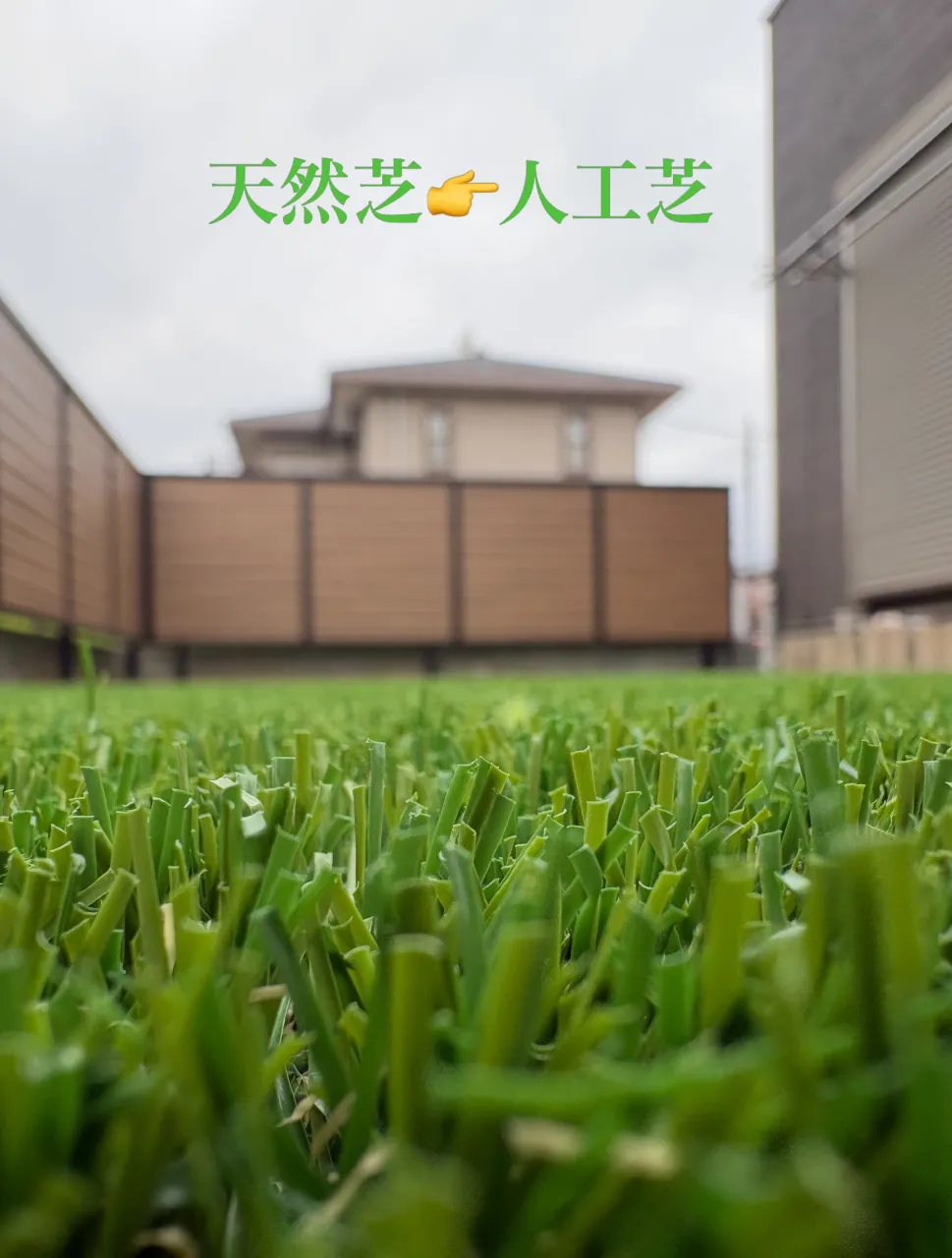 🏡🌱【芝刈り・雑草・水やり…もう限界⁉️】😭