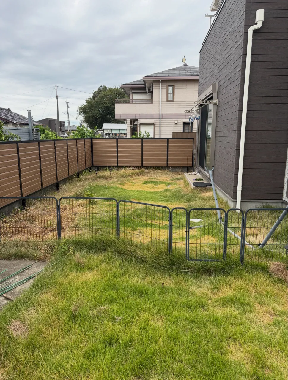 🏡🌱【芝刈り・雑草・水やり…もう限界⁉️】😭