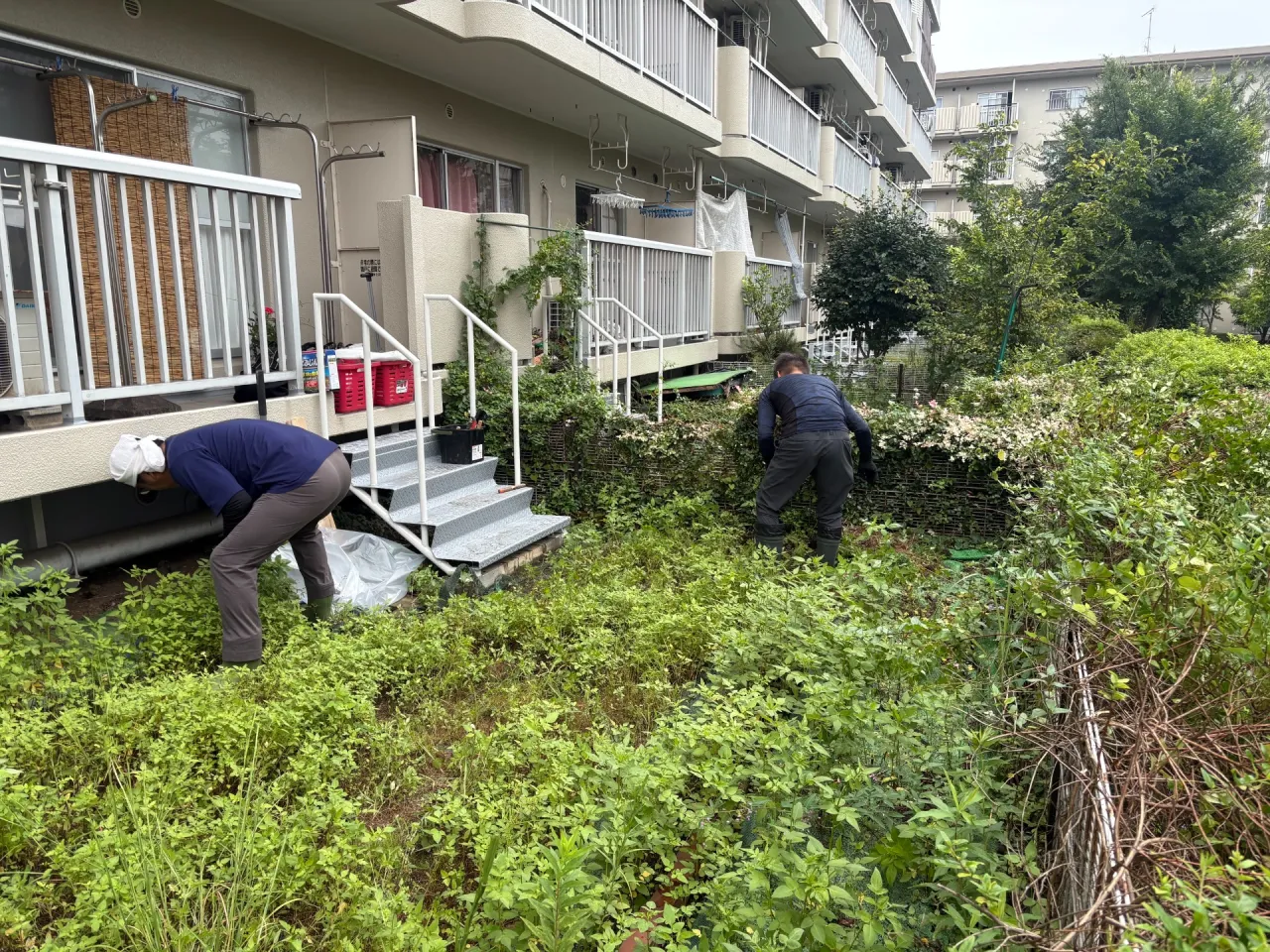 雑草が生い茂った元のお庭の状態