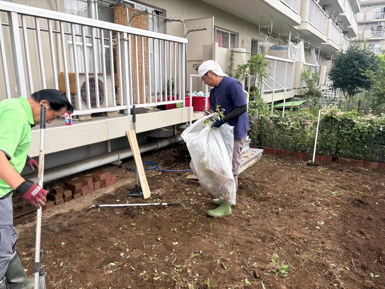 手作業で全ての雑草を除去します