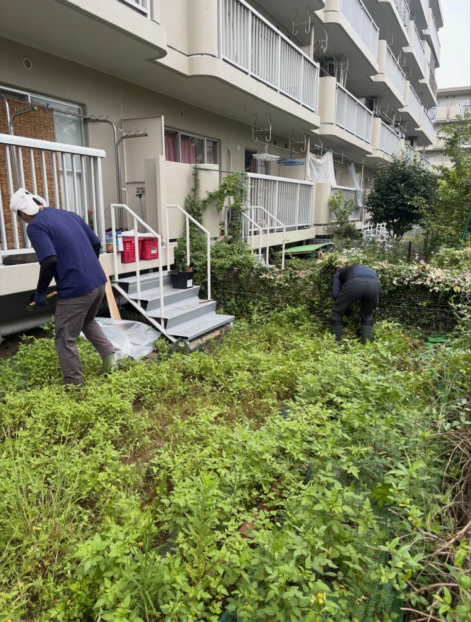 🫣【えっ…人工芝なのに、雑草だらけ⁉️】🚨😭