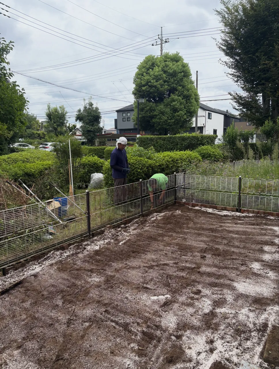 🫣【えっ…人工芝なのに、雑草だらけ⁉️】🚨😭
