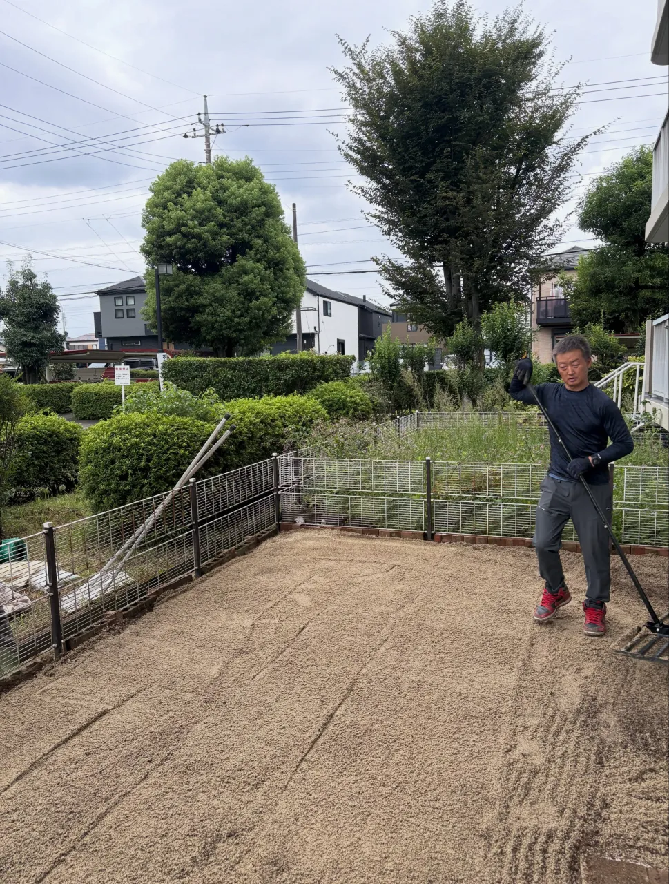 🫣【えっ…人工芝なのに、雑草だらけ⁉️】🚨😭