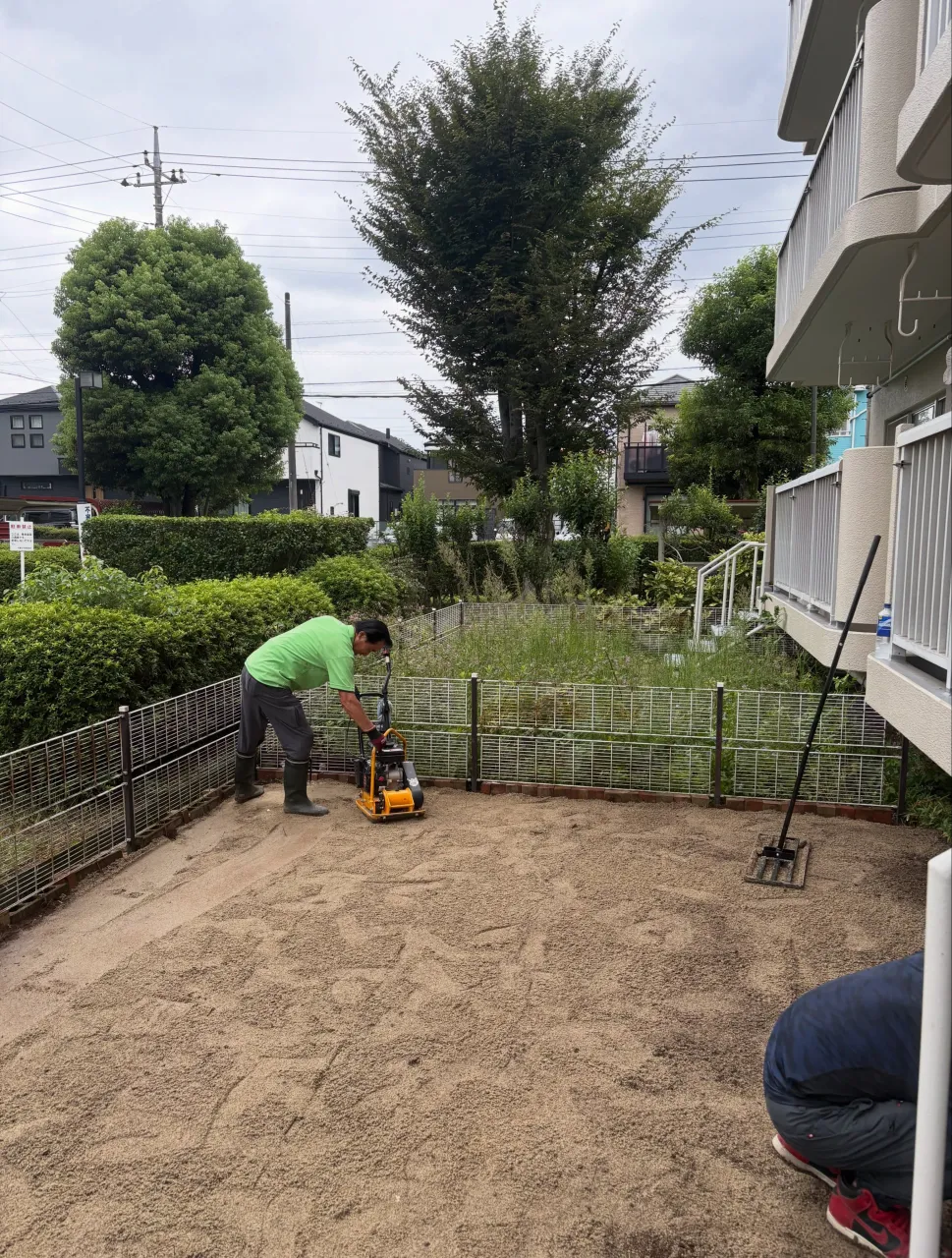 🫣【えっ…人工芝なのに、雑草だらけ⁉️】🚨😭