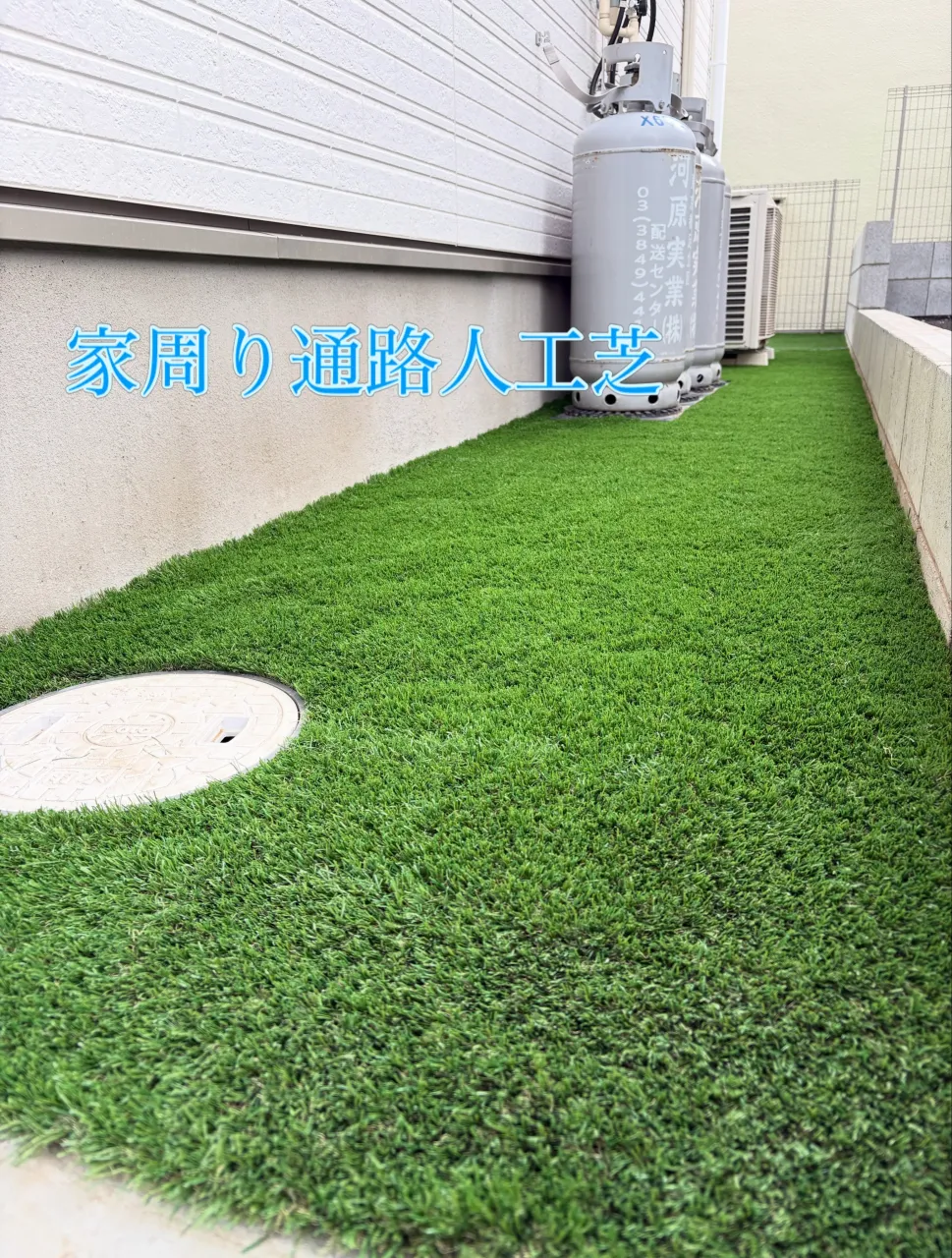 🚨😱【まだ草むしりしてるの!? 家の裏が“雑草ジャングル”に...