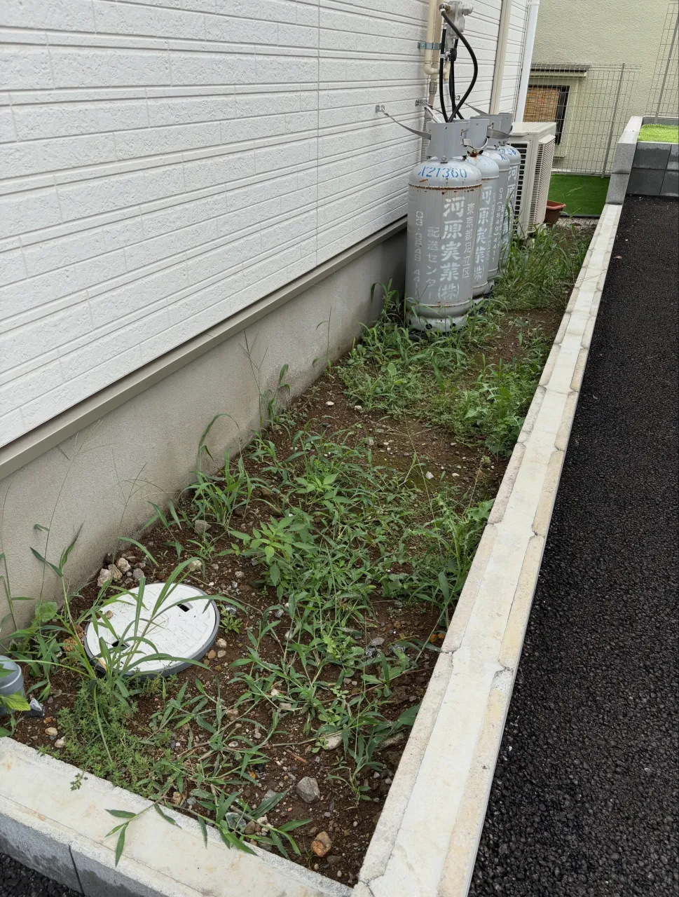 🚨😱【まだ草むしりしてるの!? 家の裏が“雑草ジャングル”に...
