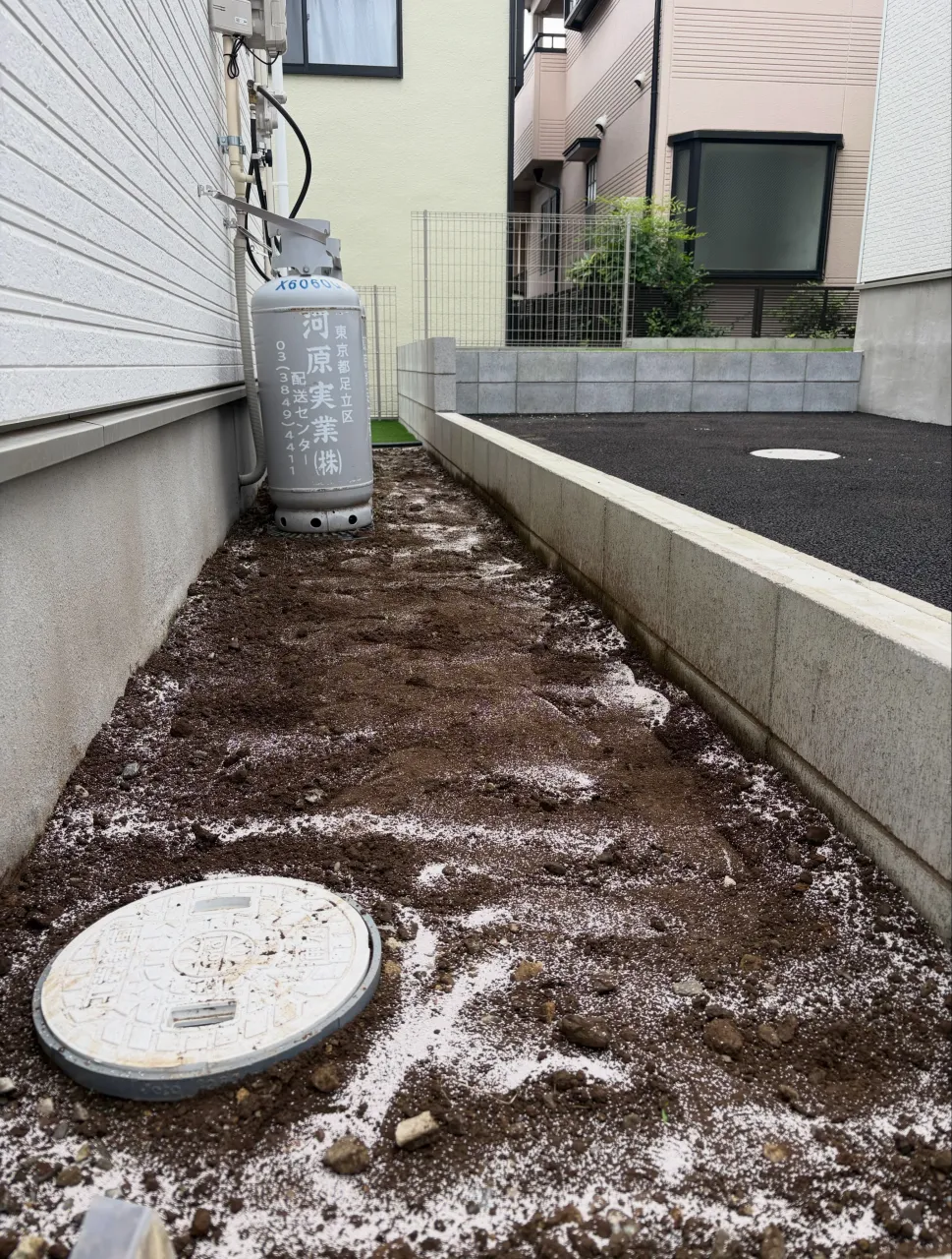 🚨😱【まだ草むしりしてるの!? 家の裏が“雑草ジャングル”に...